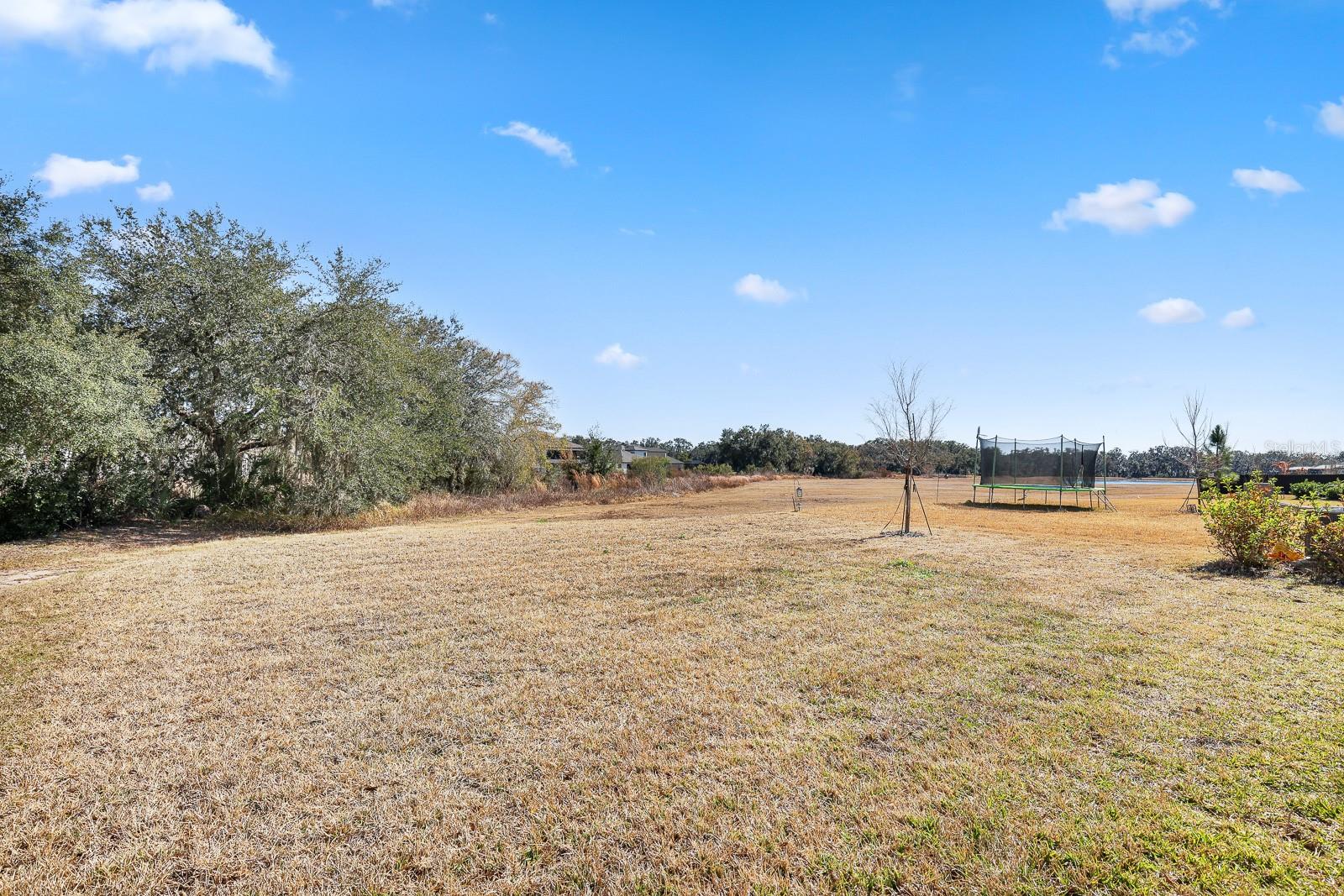 Listing photo id 43 for 14671 Horse Trot Road