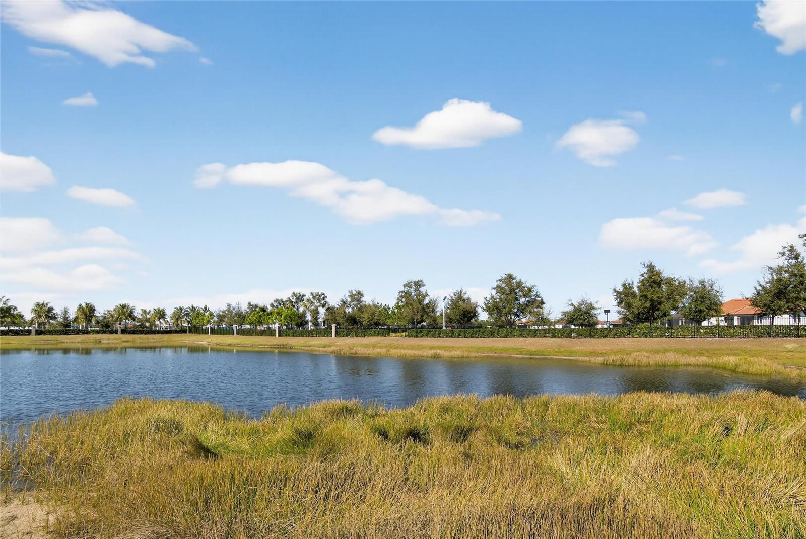 Image 41 of 98 For 5328 Stoic Vale Drive