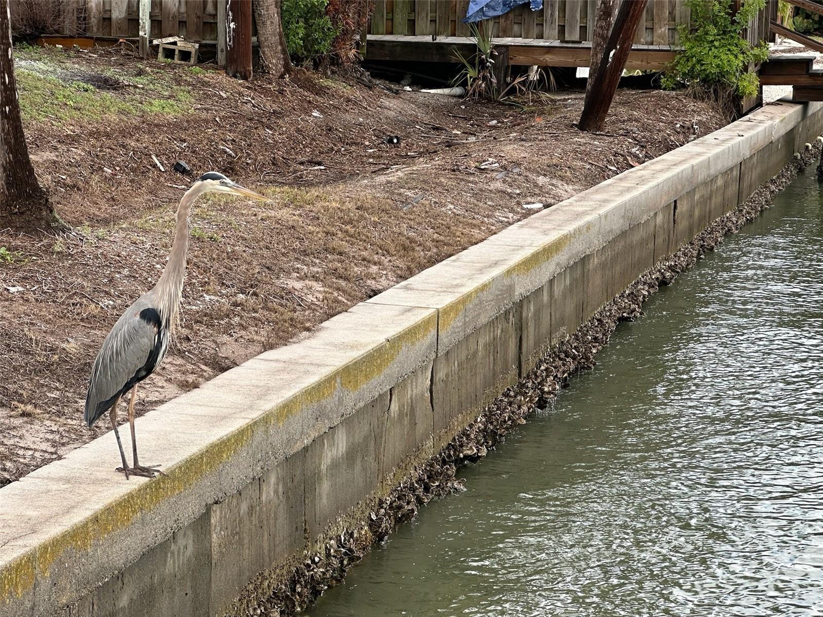 Image 27 of 27 For 175 55th Avenue 109