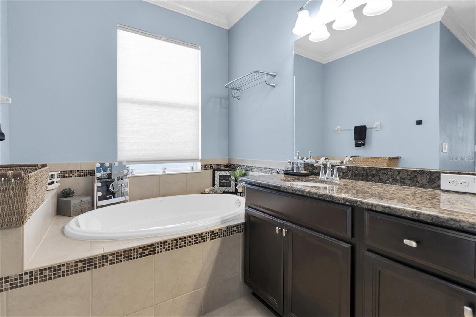 Image 23 of 46 For 10223 Caraway Spice Avenue