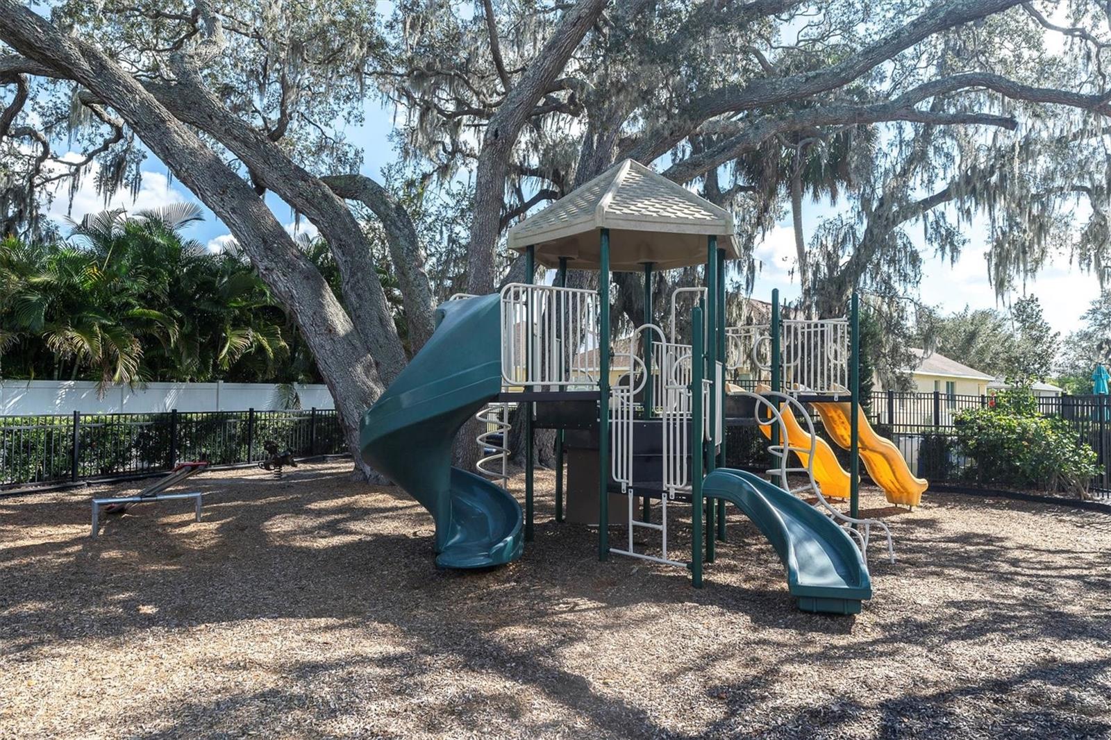 Image 46 of 46 For 10223 Caraway Spice Avenue