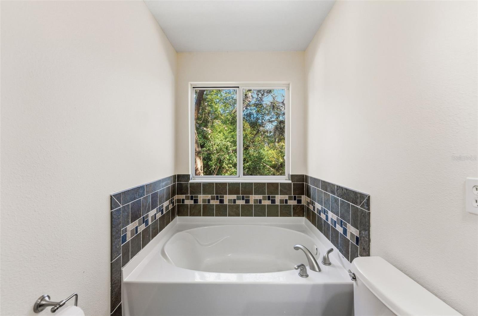 Image 23 of 41 For 11646 Mango Ridge Boulevard