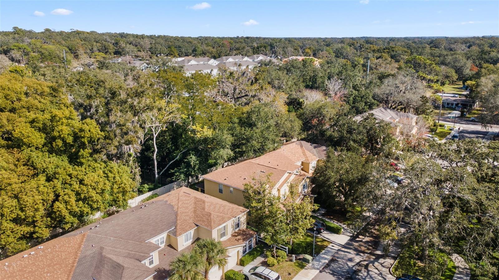 Image 38 of 41 For 11646 Mango Ridge Boulevard