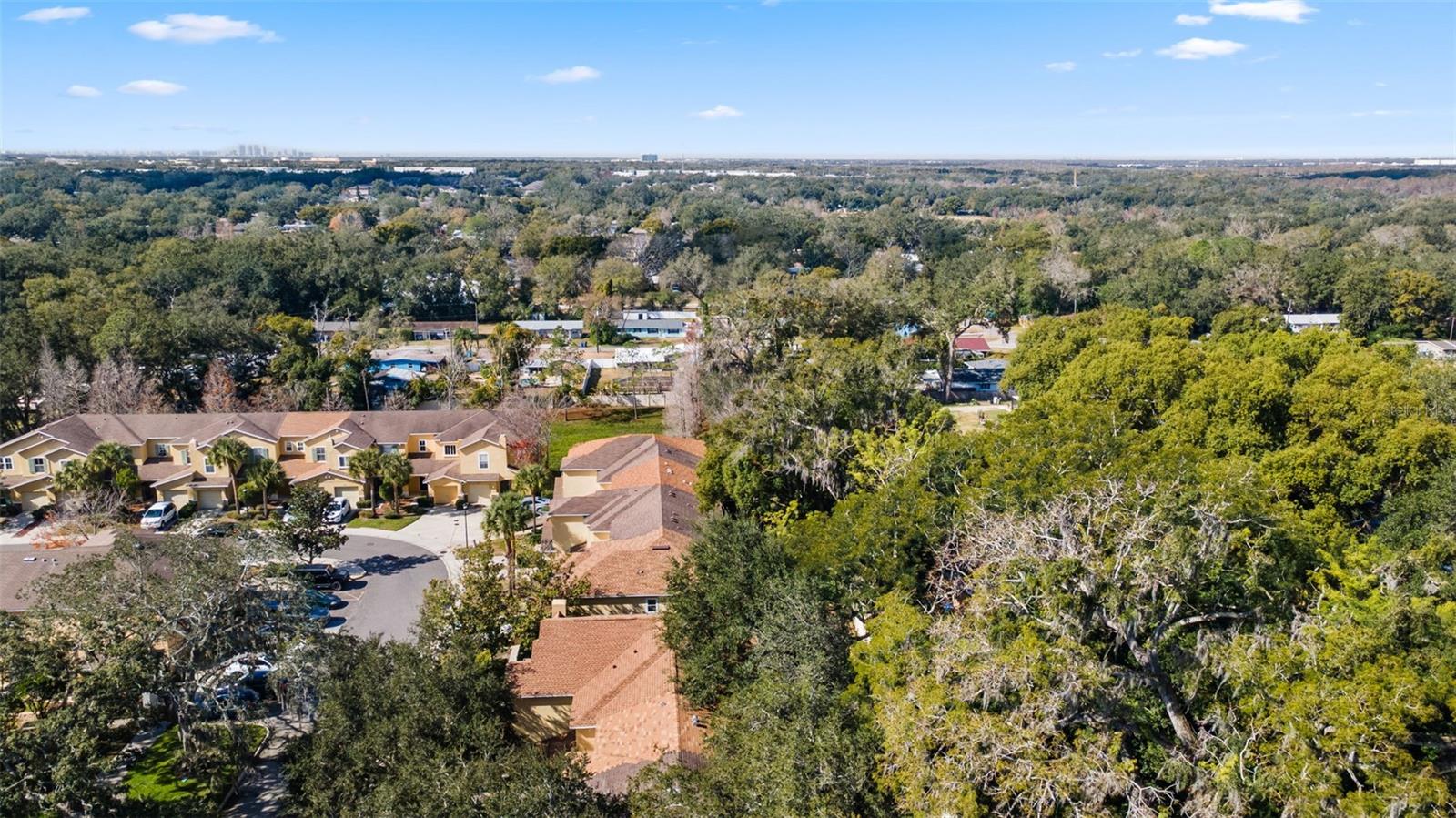 Image 39 of 41 For 11646 Mango Ridge Boulevard