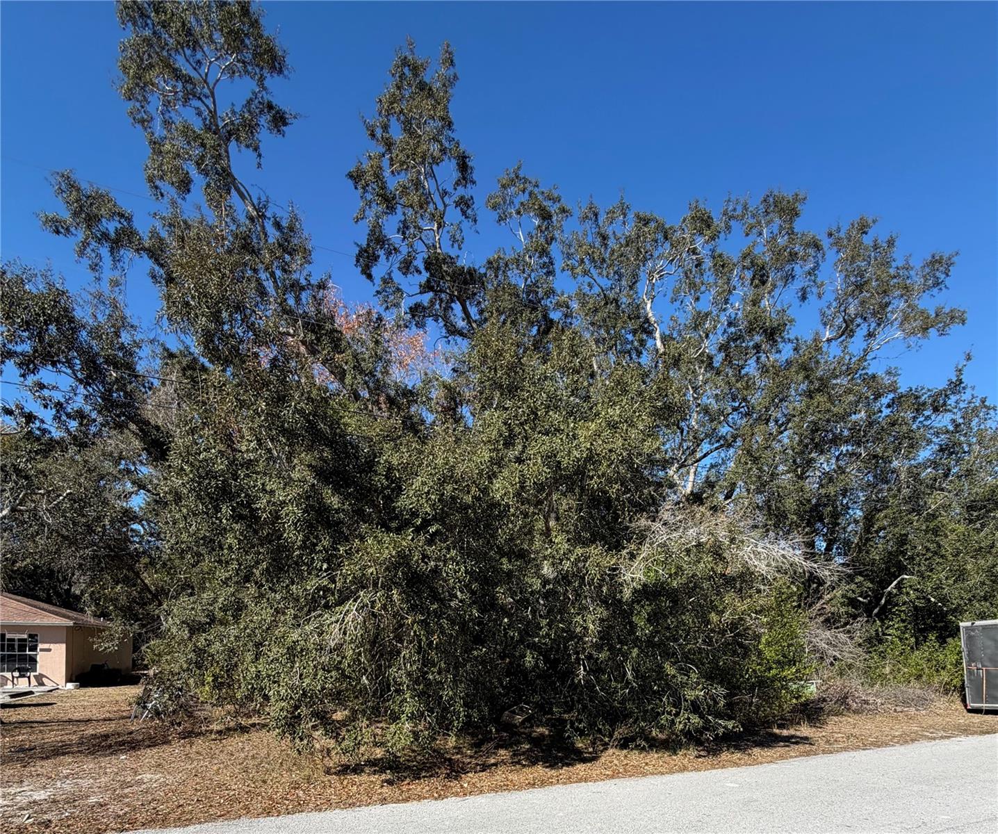 Details for 1241 Sylvia Avenue, Spring Hill, FL 34606