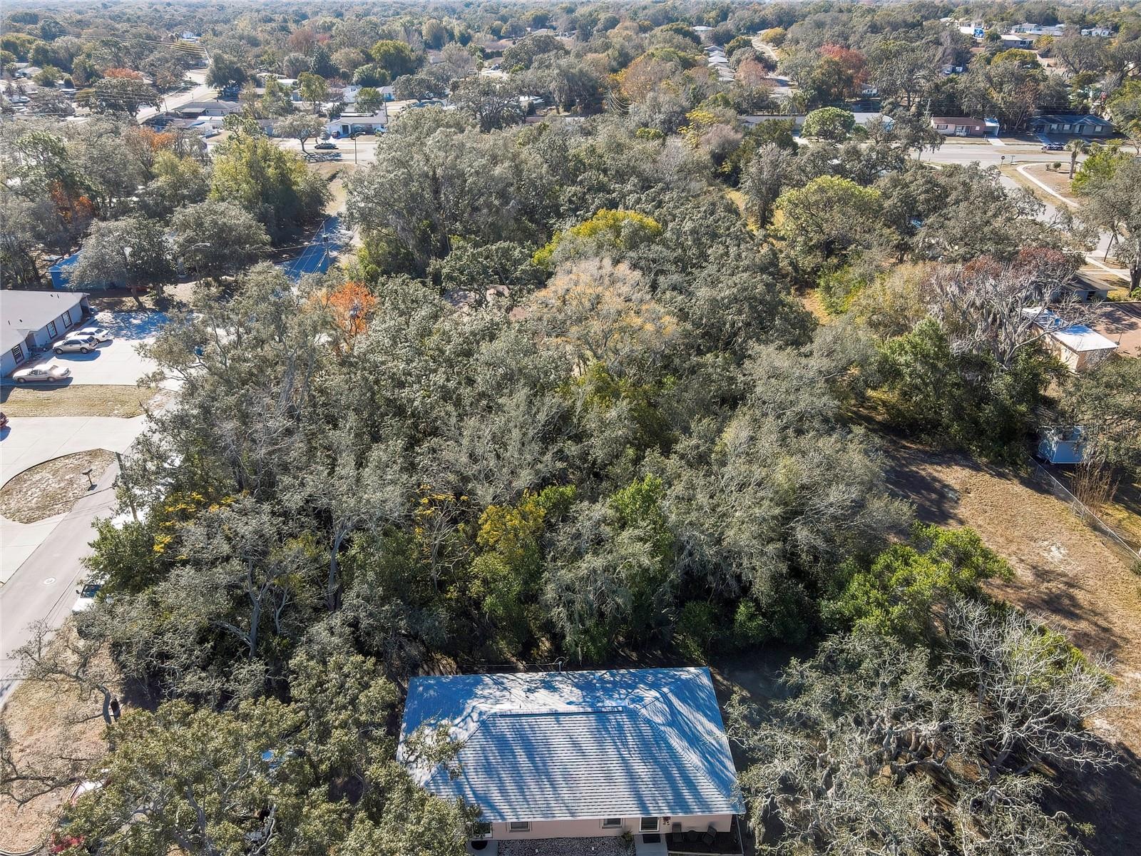 Image 6 of 11 For 1241 Sylvia Avenue