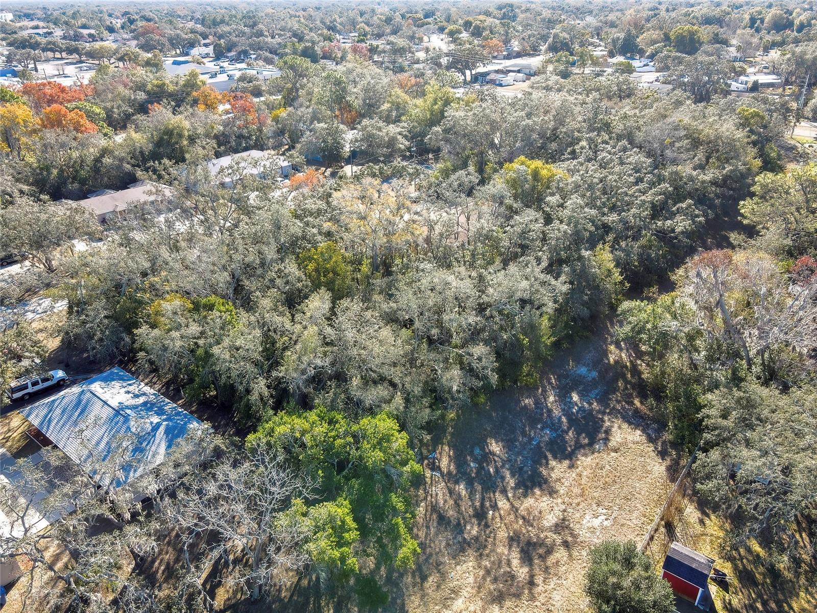 Image 7 of 11 For 1241 Sylvia Avenue