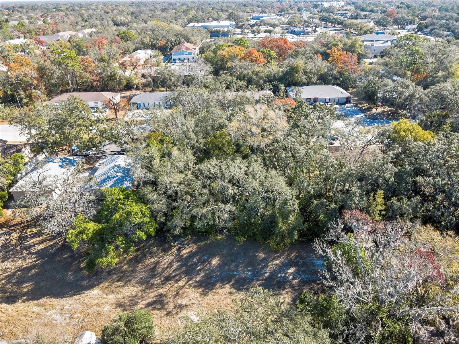 Image 8 of 11 For 1241 Sylvia Avenue