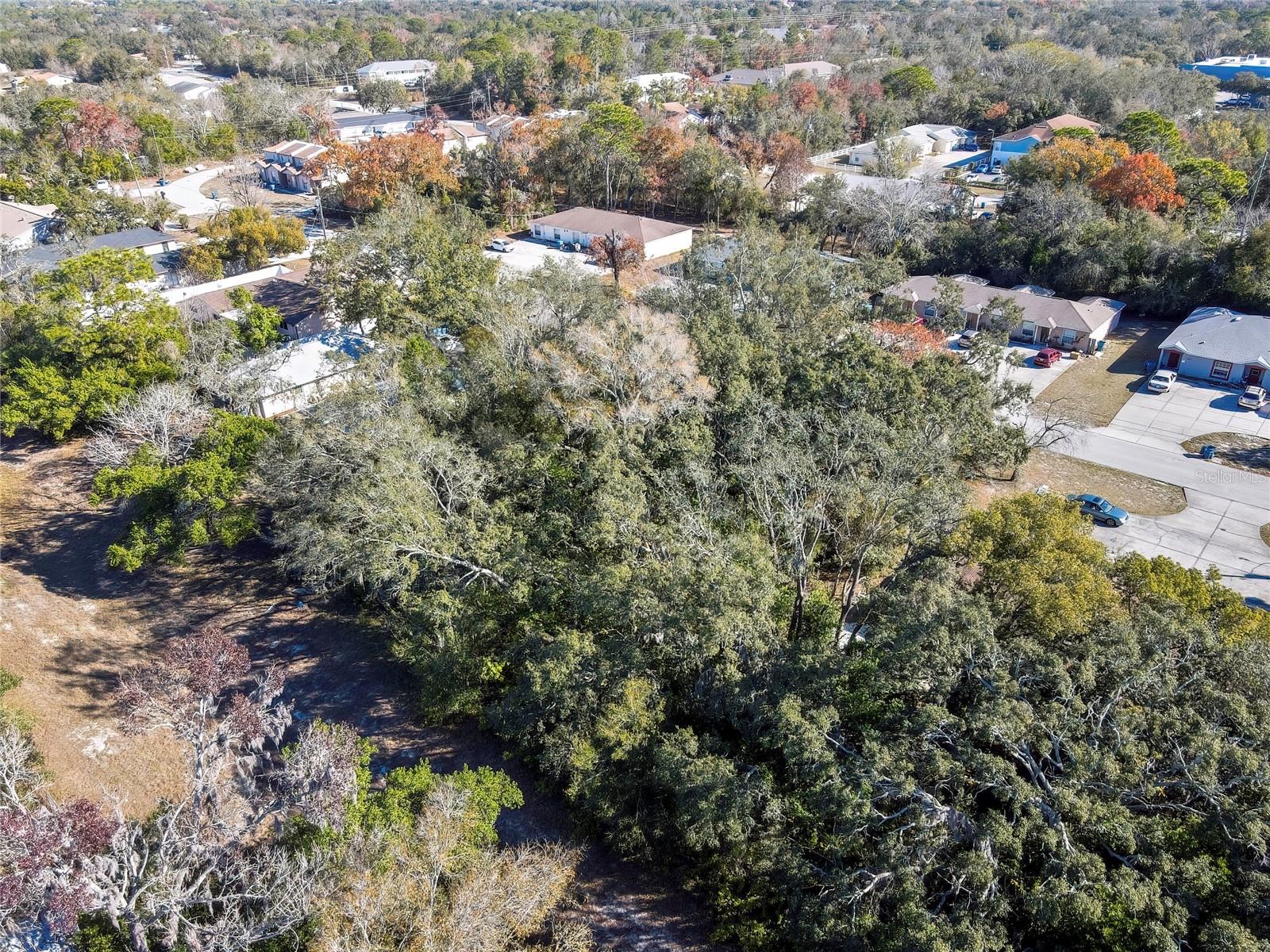 Image 9 of 11 For 1241 Sylvia Avenue