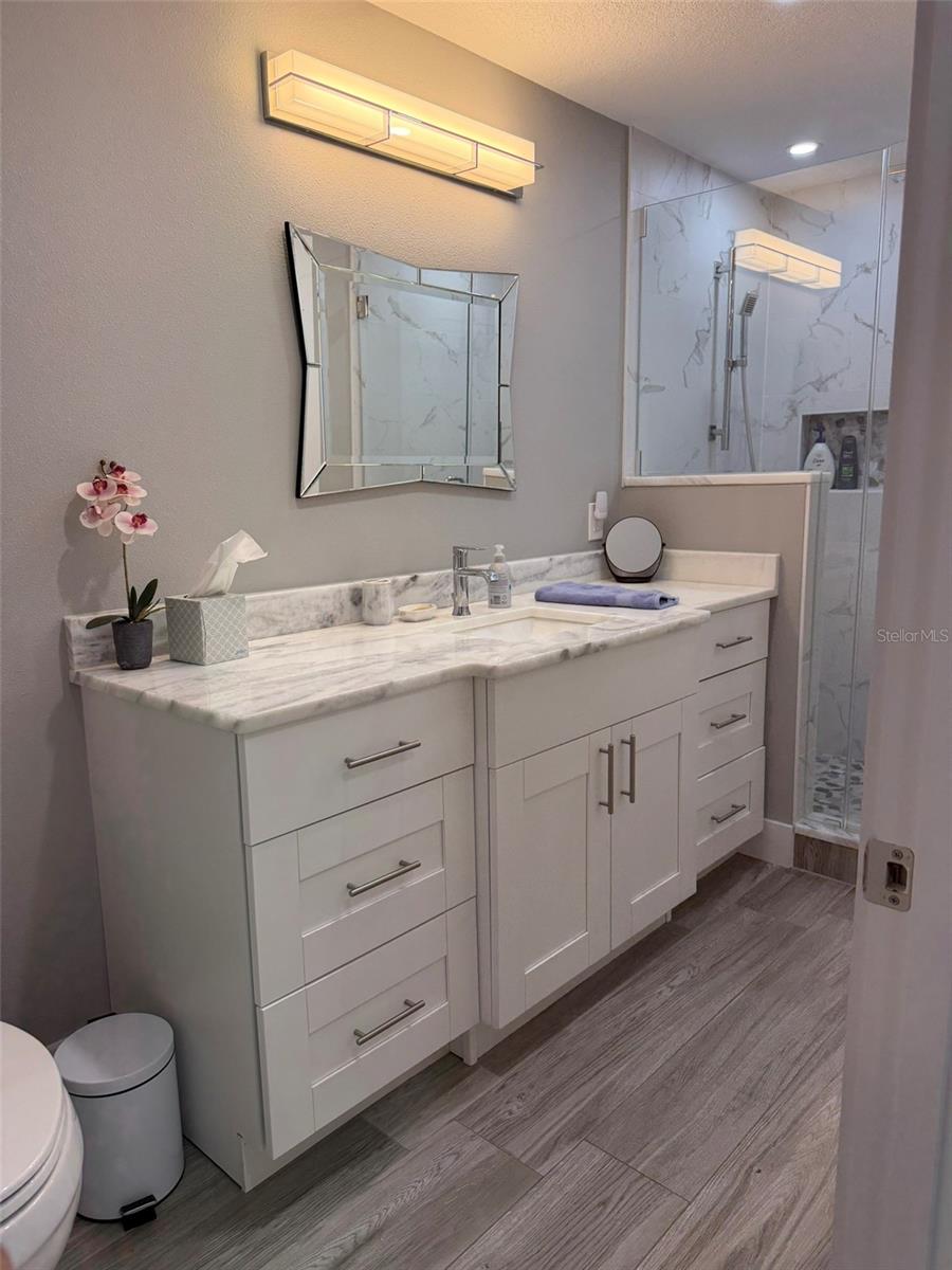 Image 34 of 47 For 1 Beach Drive Se 1310