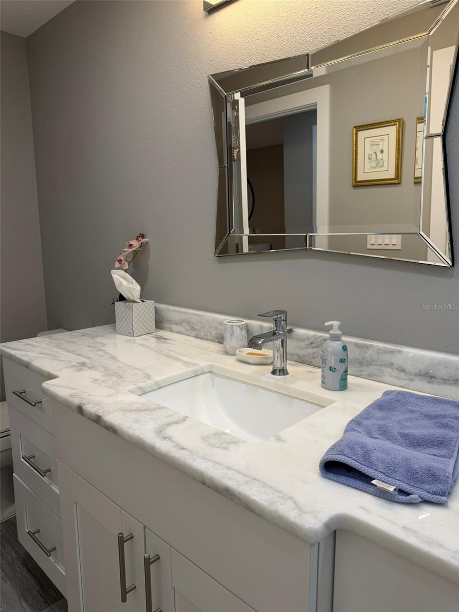 Image 35 of 47 For 1 Beach Drive Se 1310