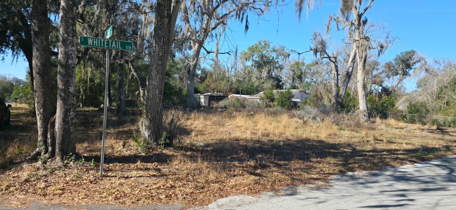 Image 2 of 4 For 4864 Whitetail Terrace