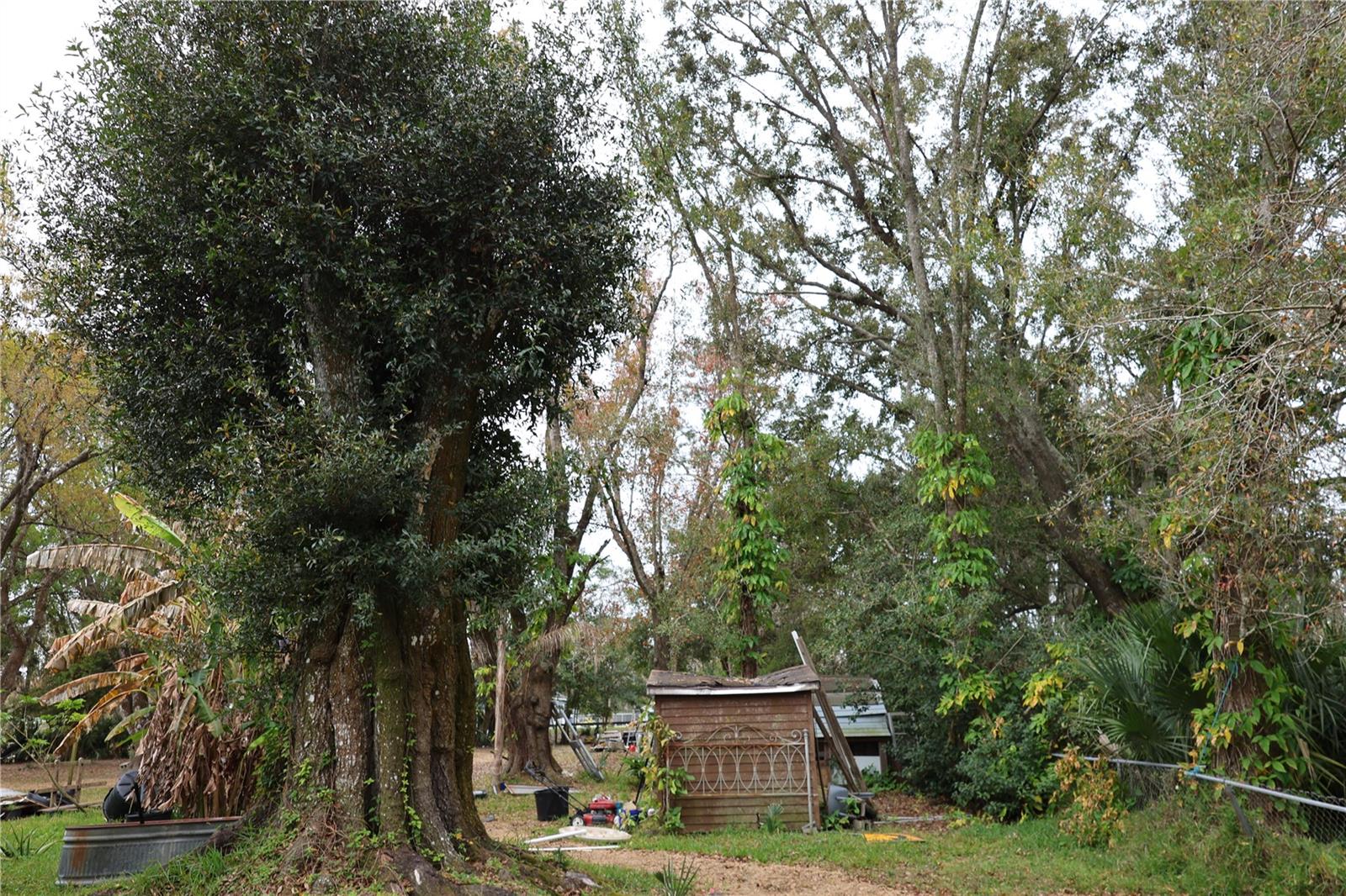 Image 46 of 54 For 1133 Live Oak Lane