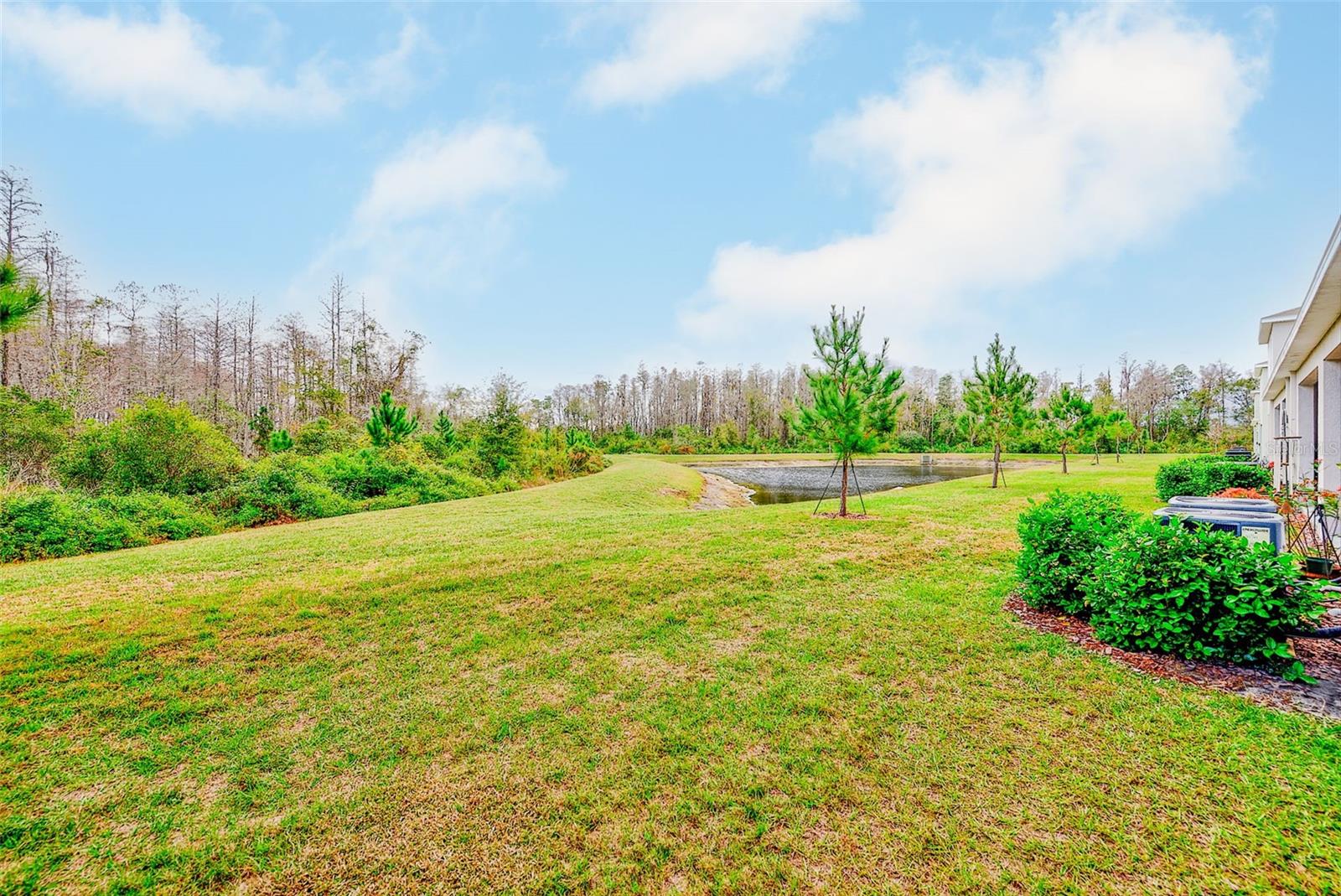 Image 40 of 41 For 11130 Crescent Deer Drive