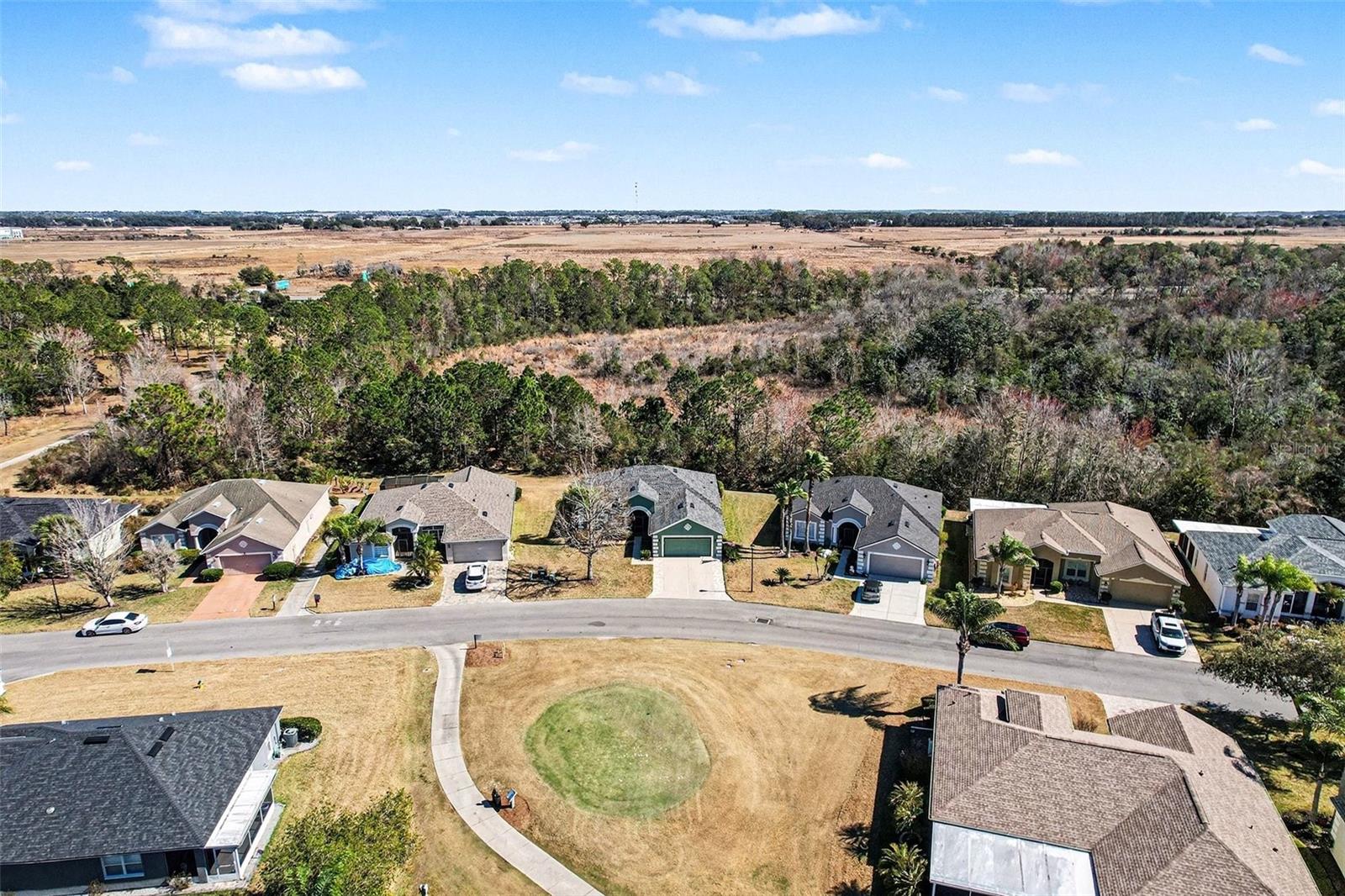 Image 29 of 38 For 10118 Cleghorn Drive