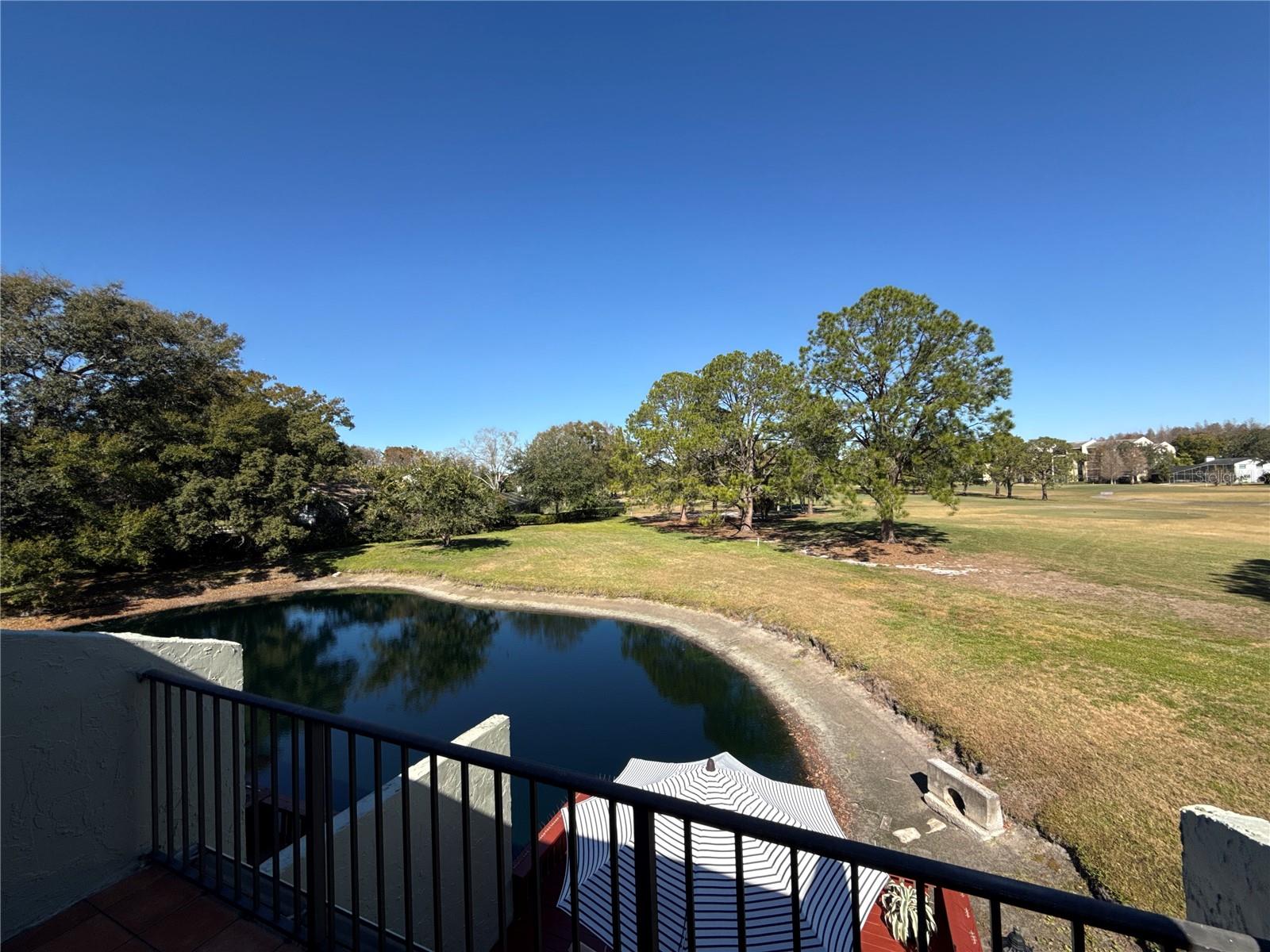 Image 38 of 43 For 13516 Palmwood Lane