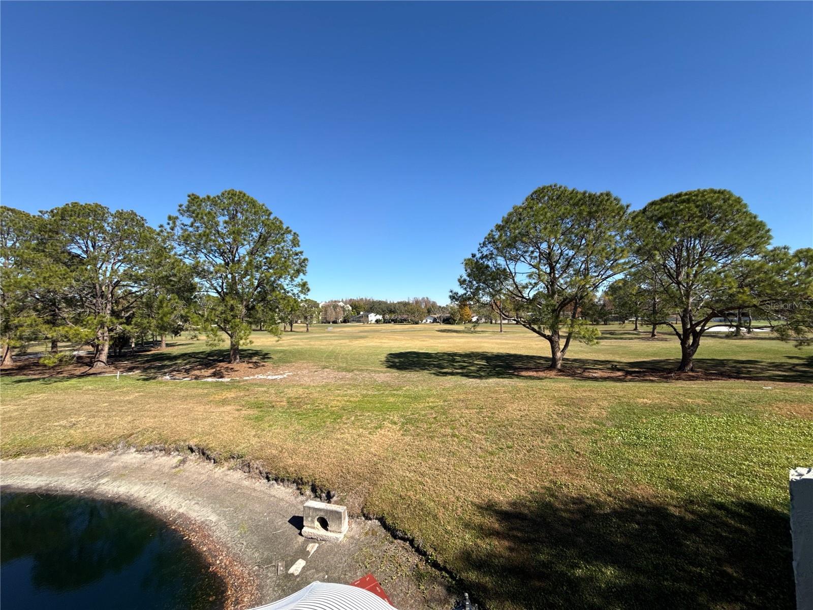 Image 41 of 43 For 13516 Palmwood Lane