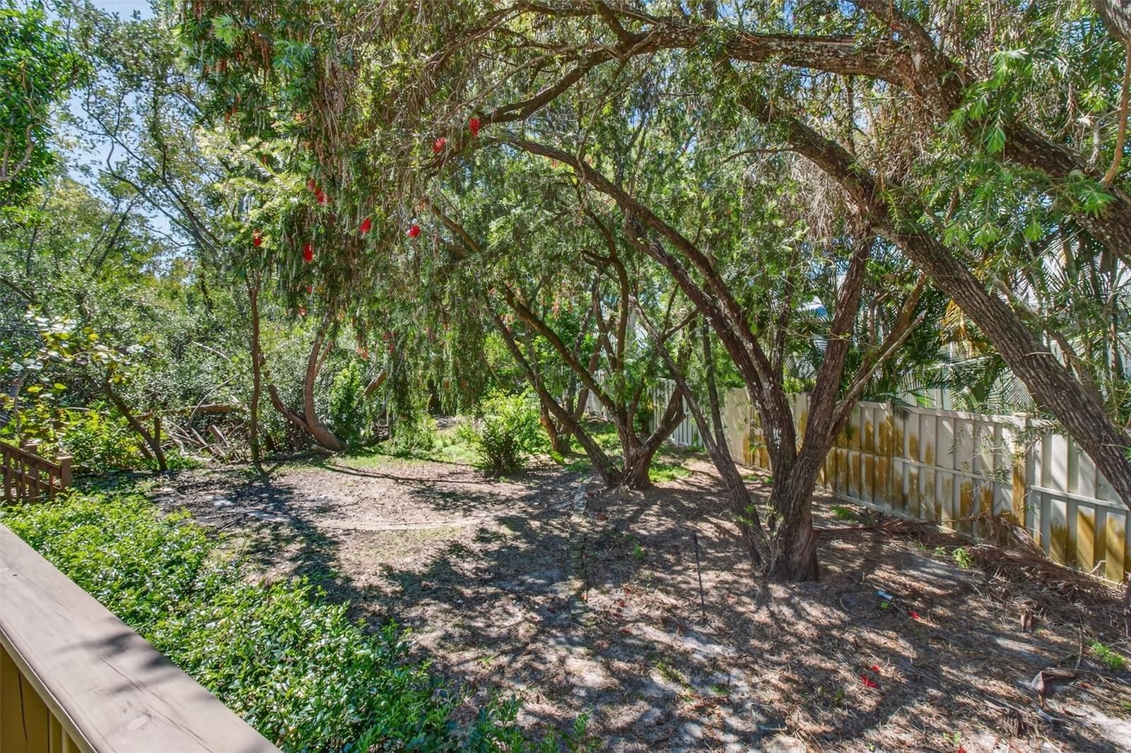 Image 38 of 64 For 1100 Tortuga Circle Ne