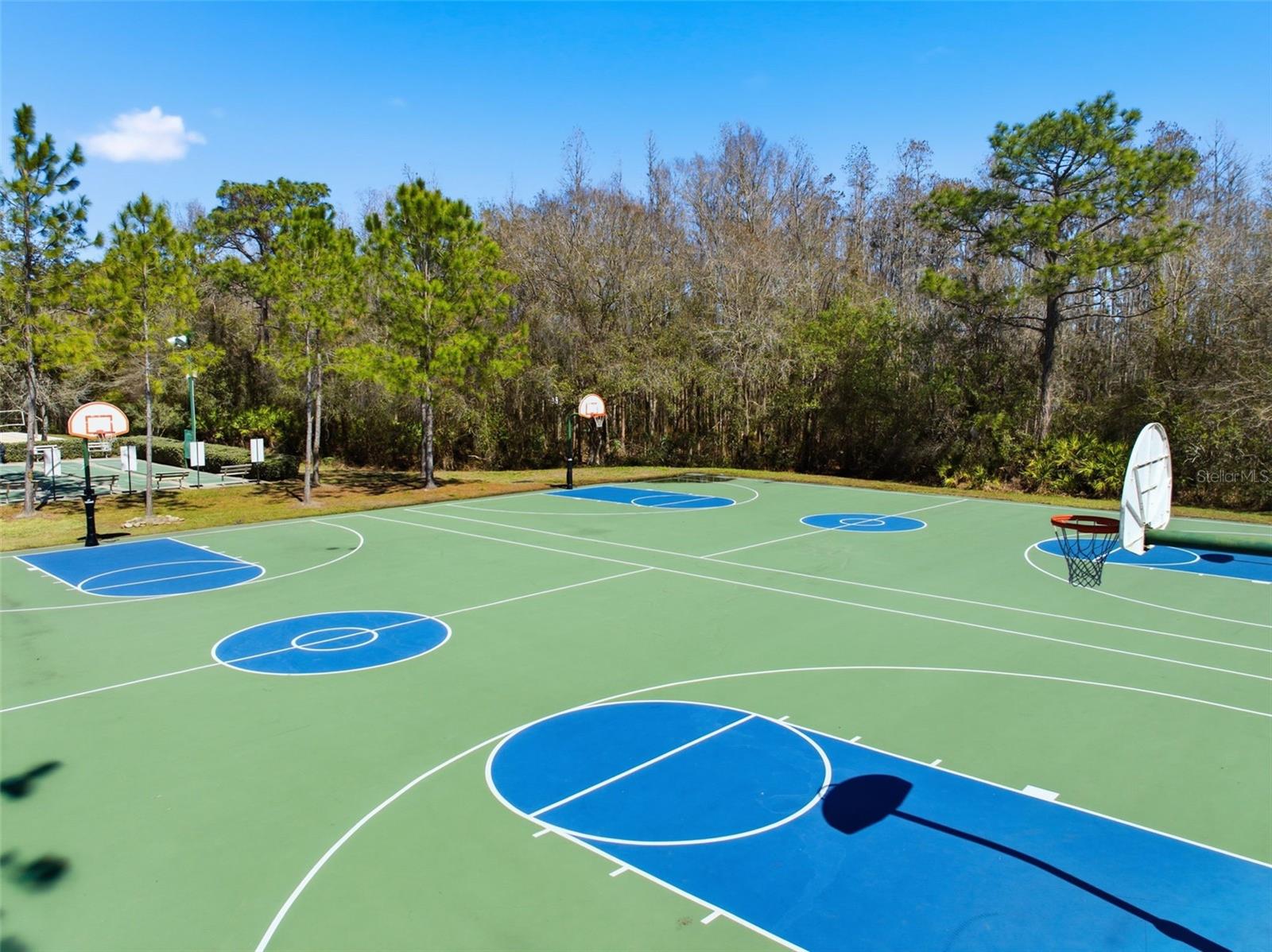 Image 69 of 82 For 31520 Holcomb Pass