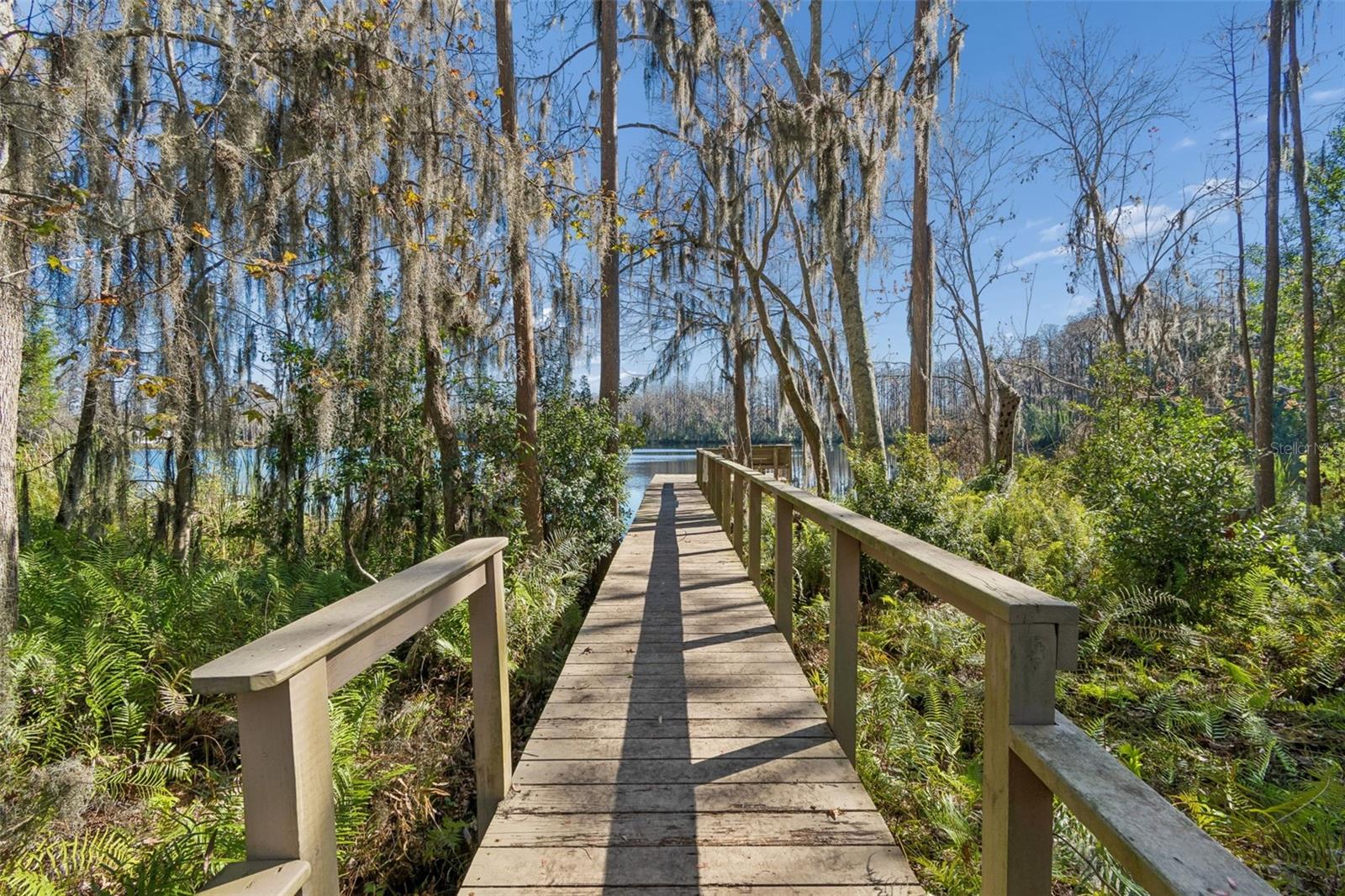 Listing photo id 14 for 6070 Drexel Road