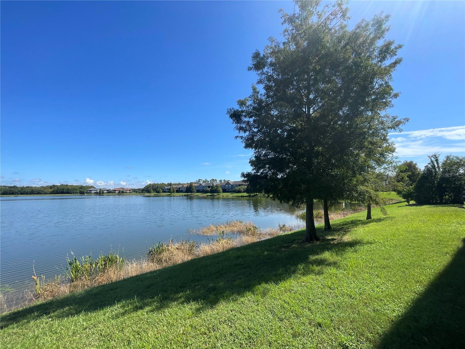 Image 33 of 47 For 4671 Wandering Way