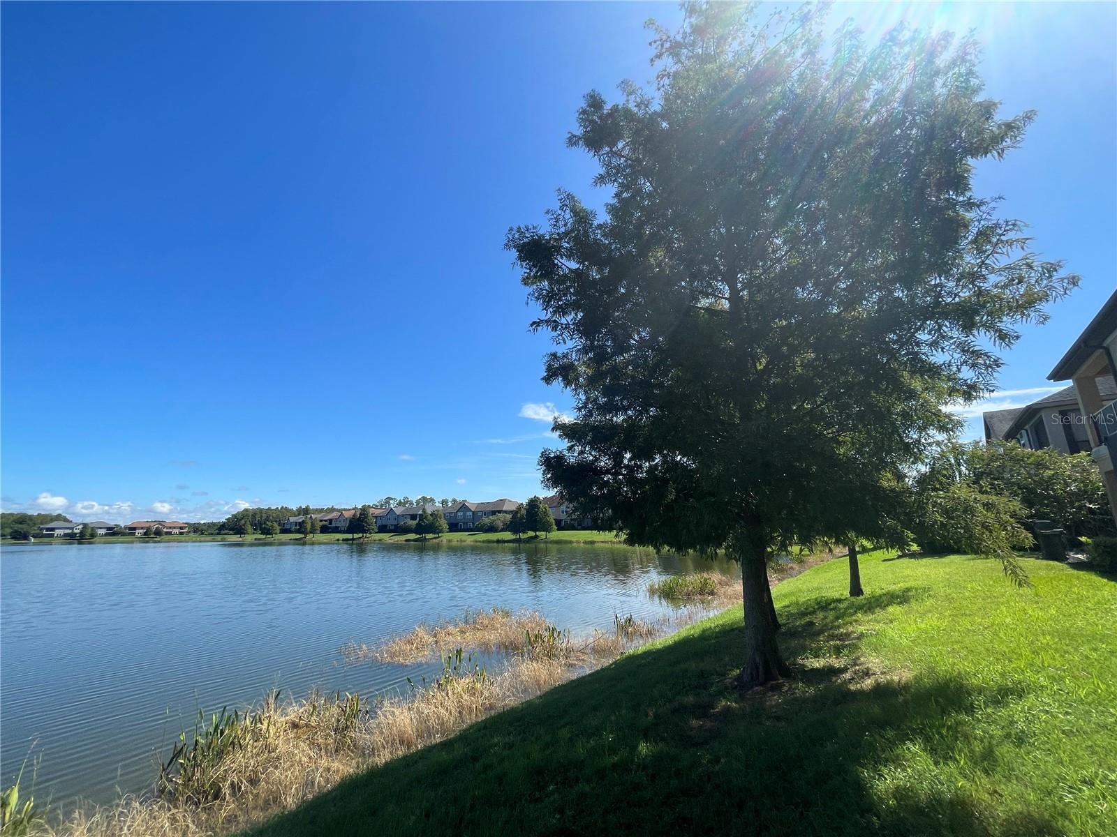 Image 35 of 47 For 4671 Wandering Way