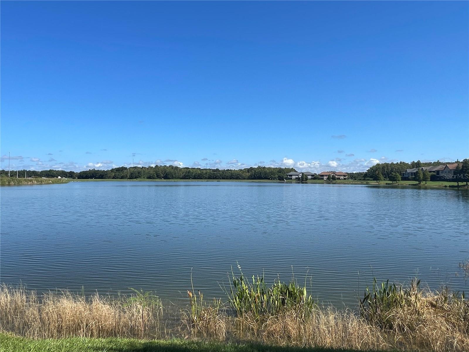 Image 37 of 47 For 4671 Wandering Way