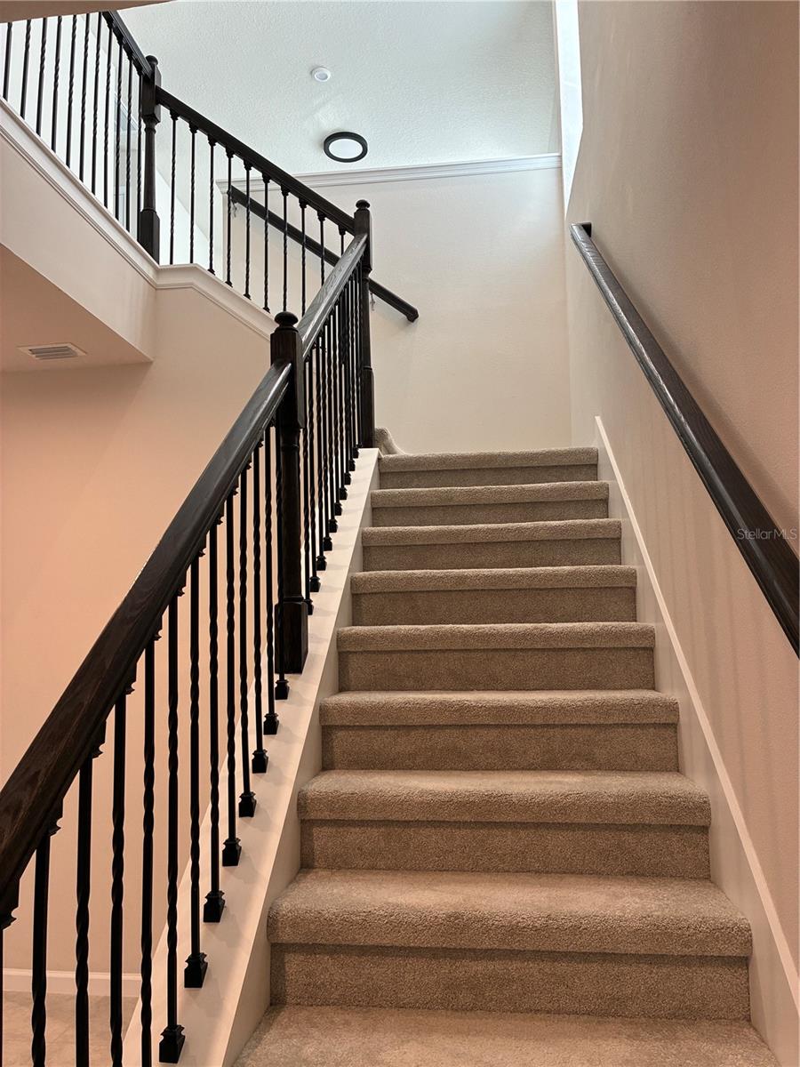 Image 12 of 36 For 10928 Osprey Glade Terrace