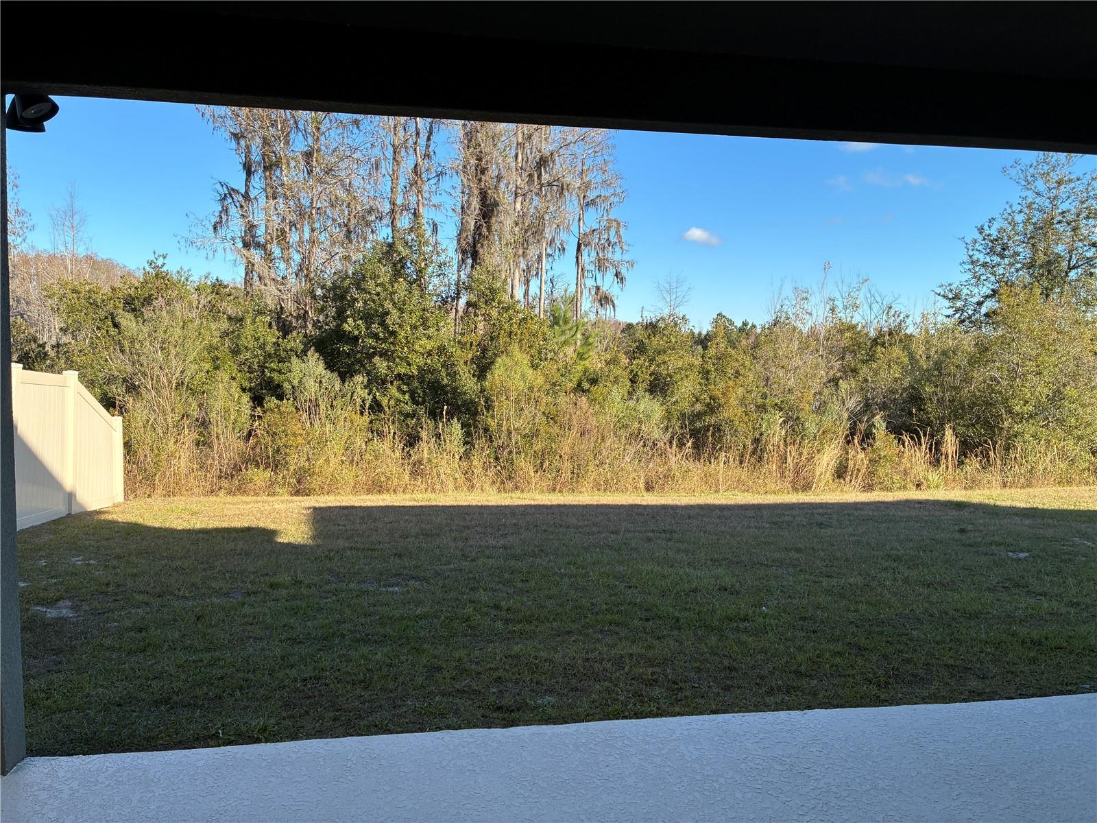 Image 29 of 36 For 10928 Osprey Glade Terrace