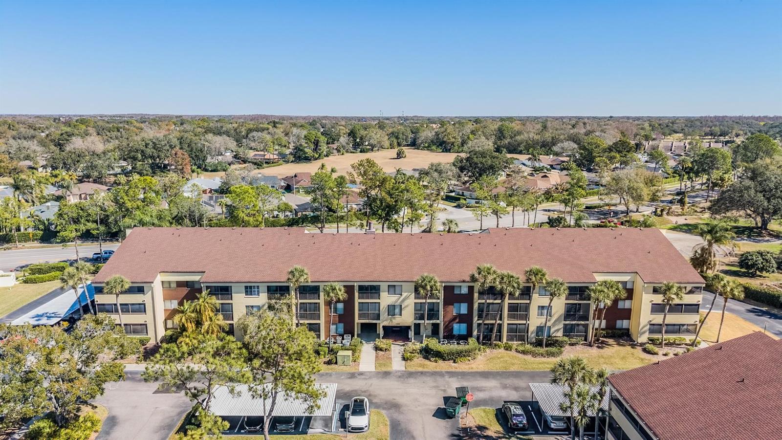 Details for 13602 Village Drive 1204, TAMPA, FL 33618