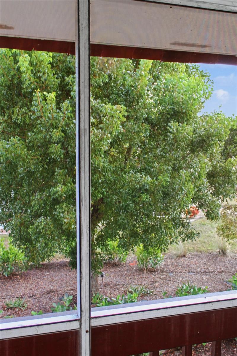 Image 18 of 29 For 311 Garvin Street 409c