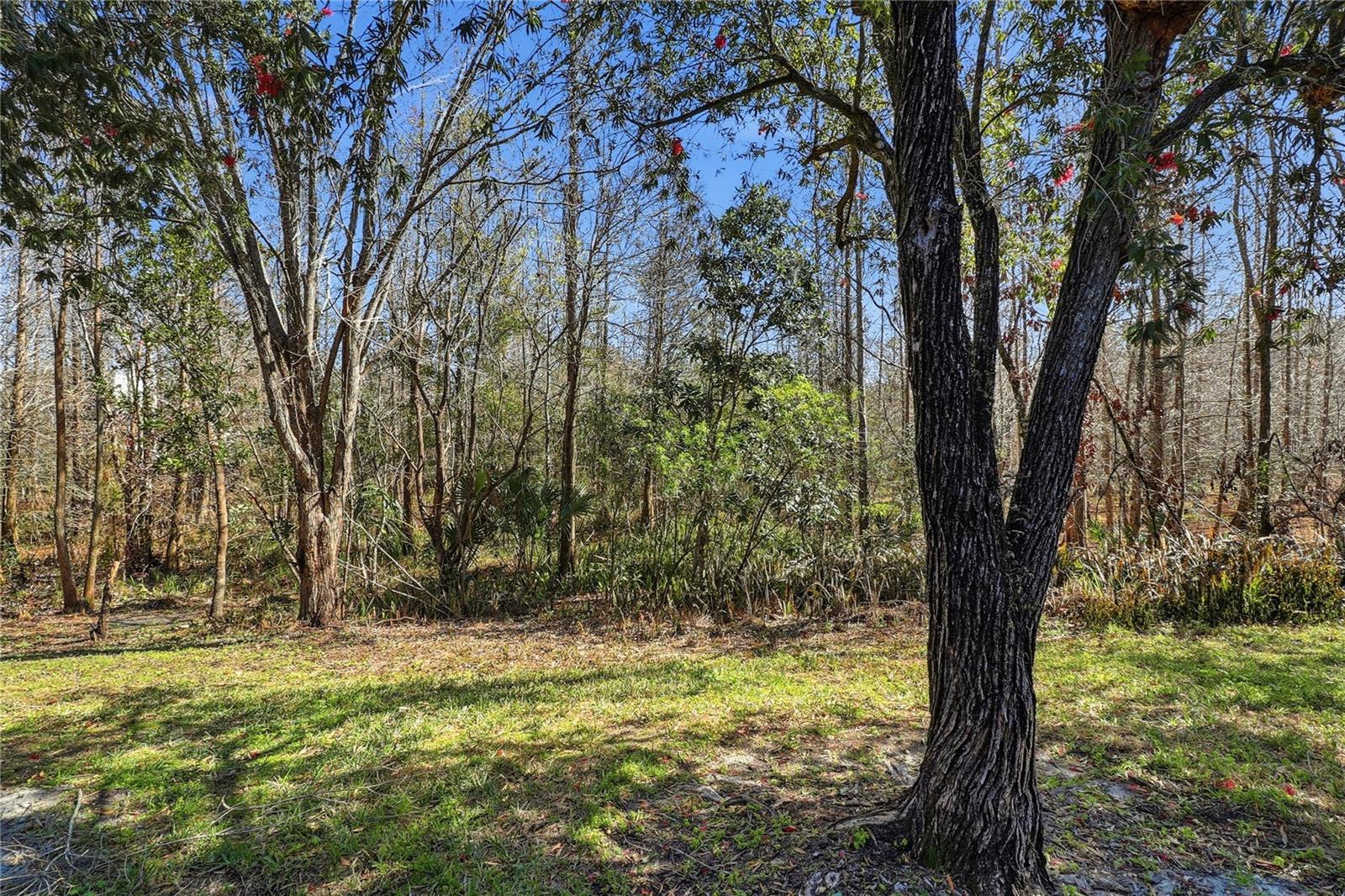 Image 26 of 32 For 18133 Paradise Point Drive