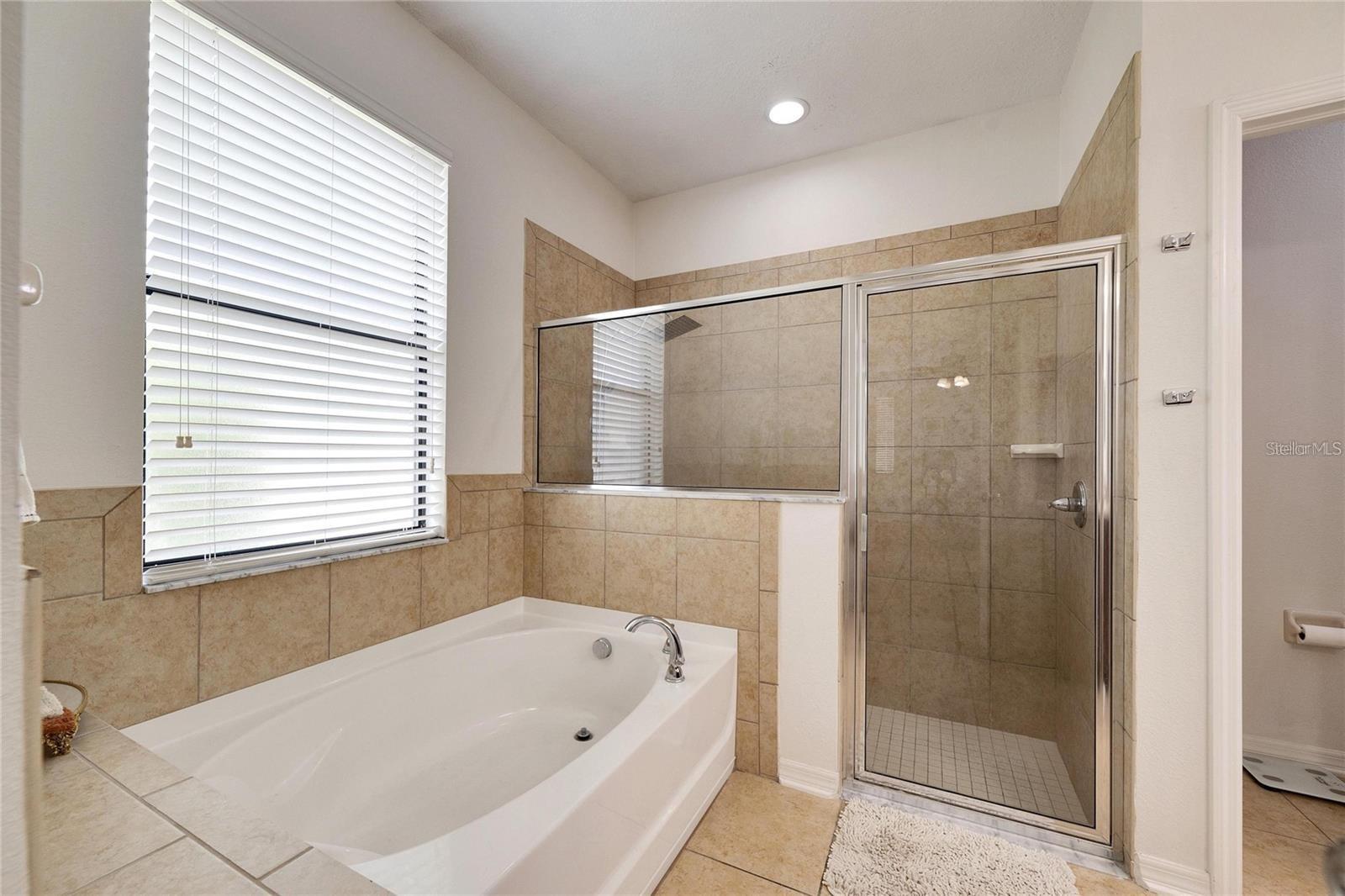 Image 30 of 47 For 307 Star Shell Drive