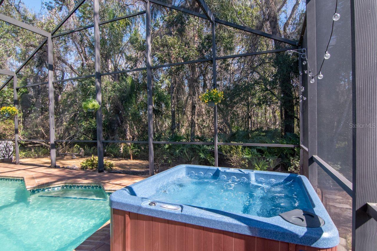 Image 57 of 70 For 889 Crestridge Circle