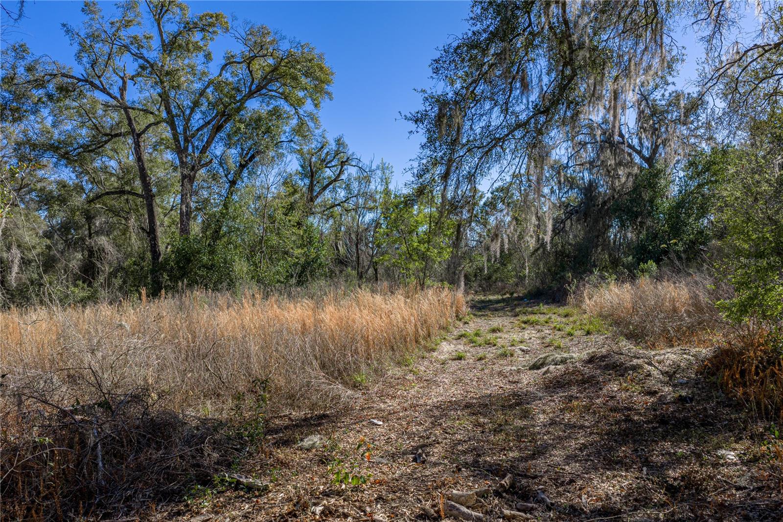 Image 10 of 10 For 00 Rowntree Drive