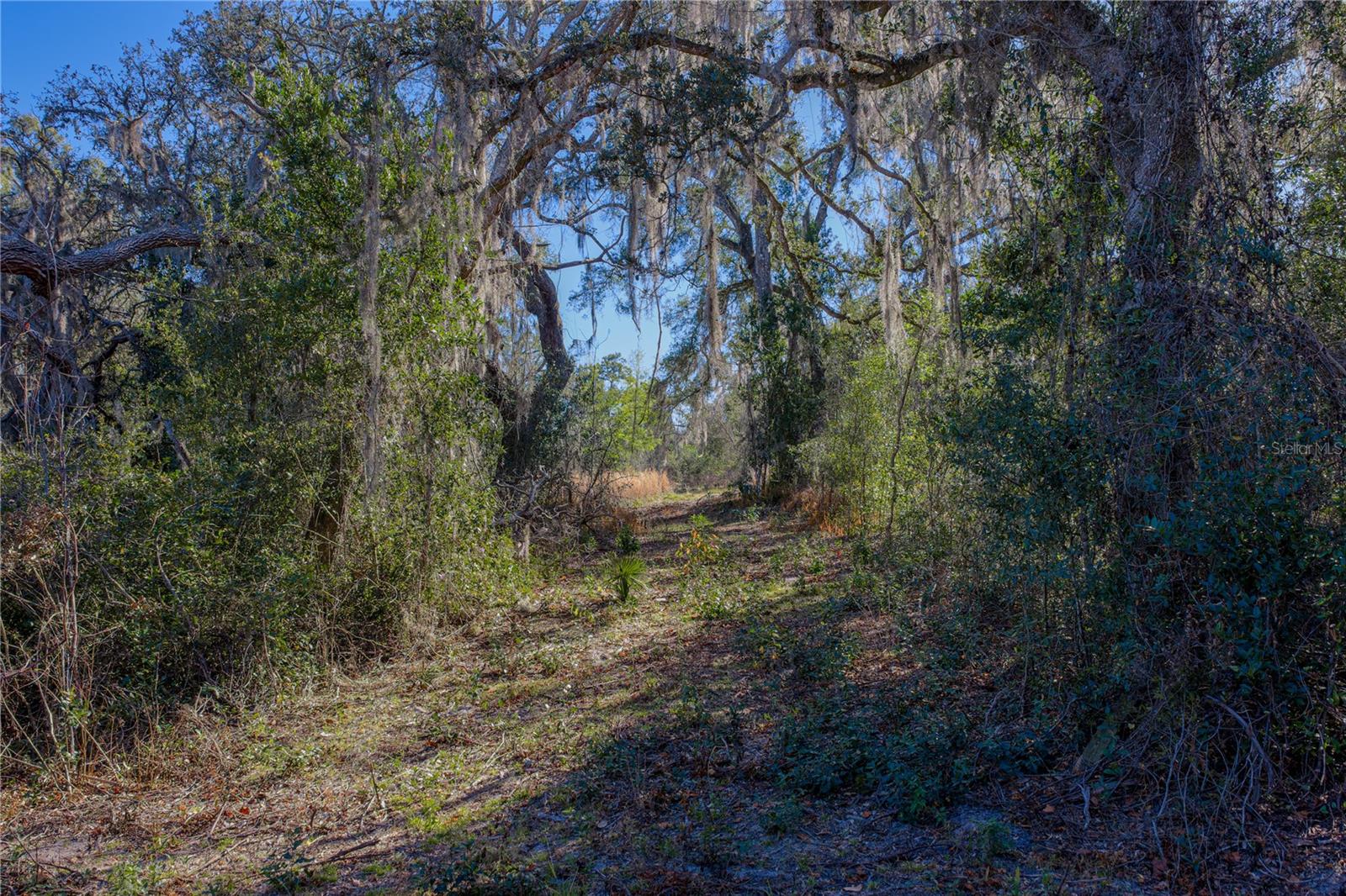 Image 8 of 10 For 00 Rowntree Drive