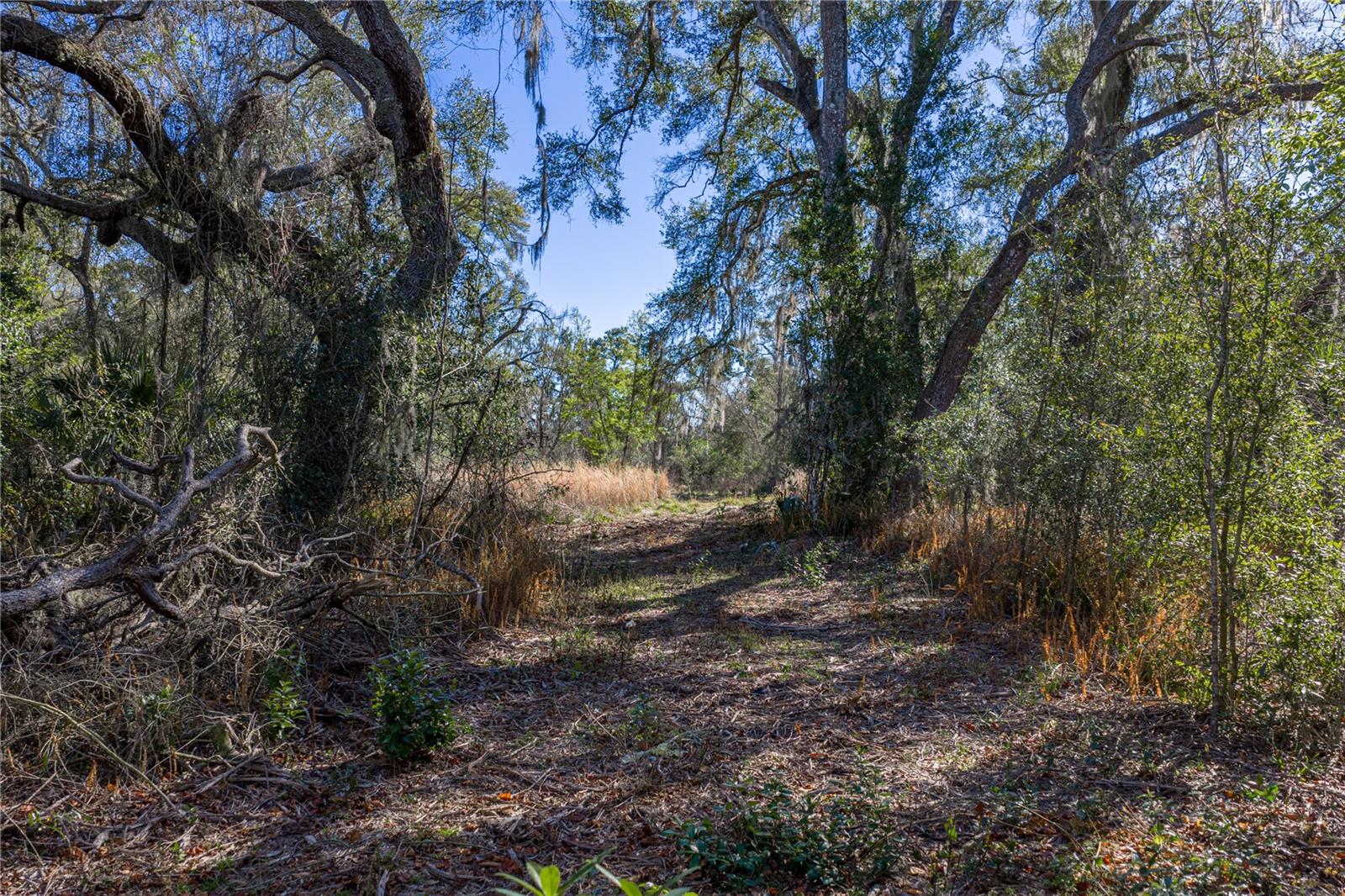 Image 11 of 14 For 0 Rowntree Drive