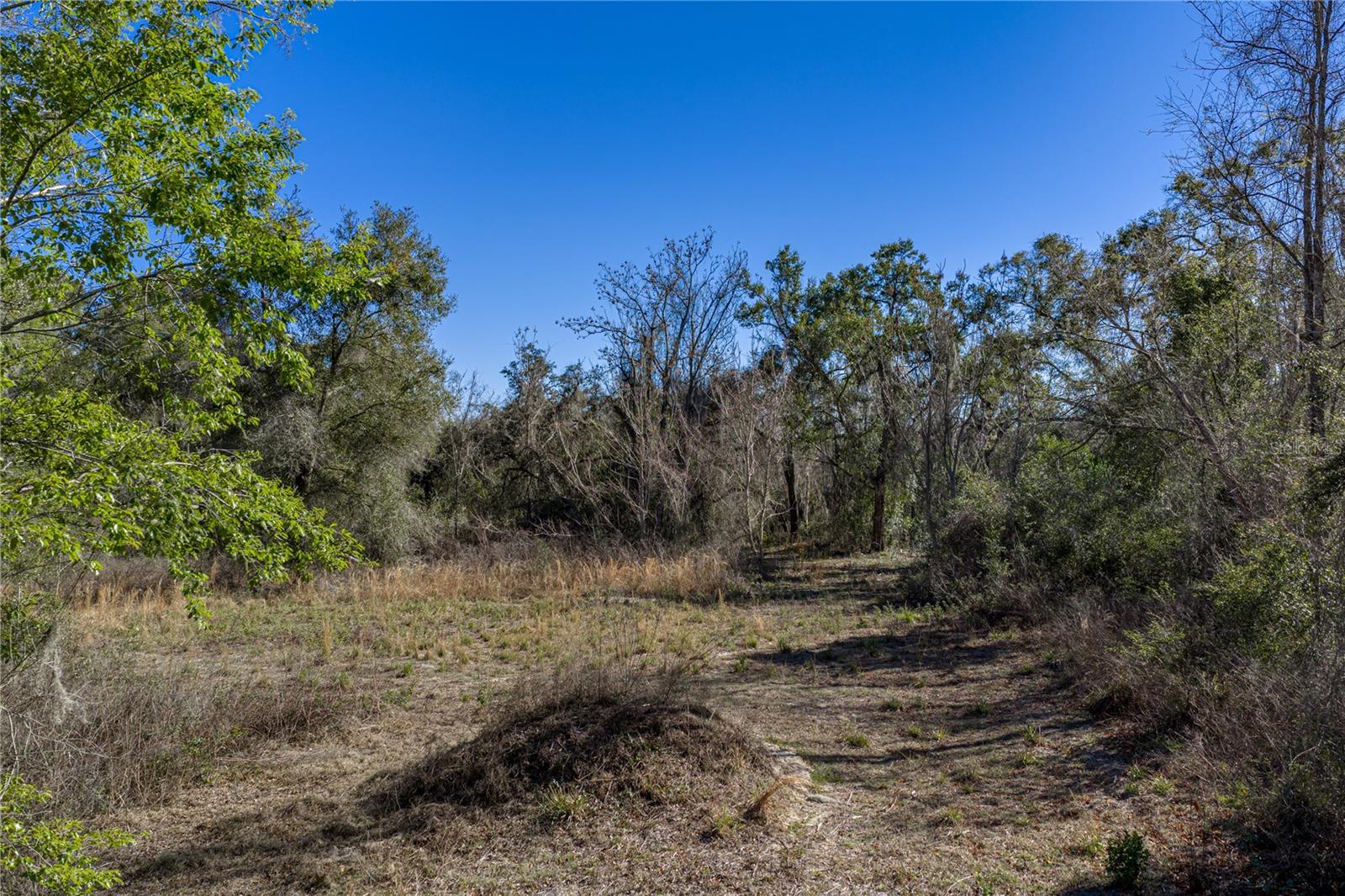 Image 13 of 14 For 0 Rowntree Drive