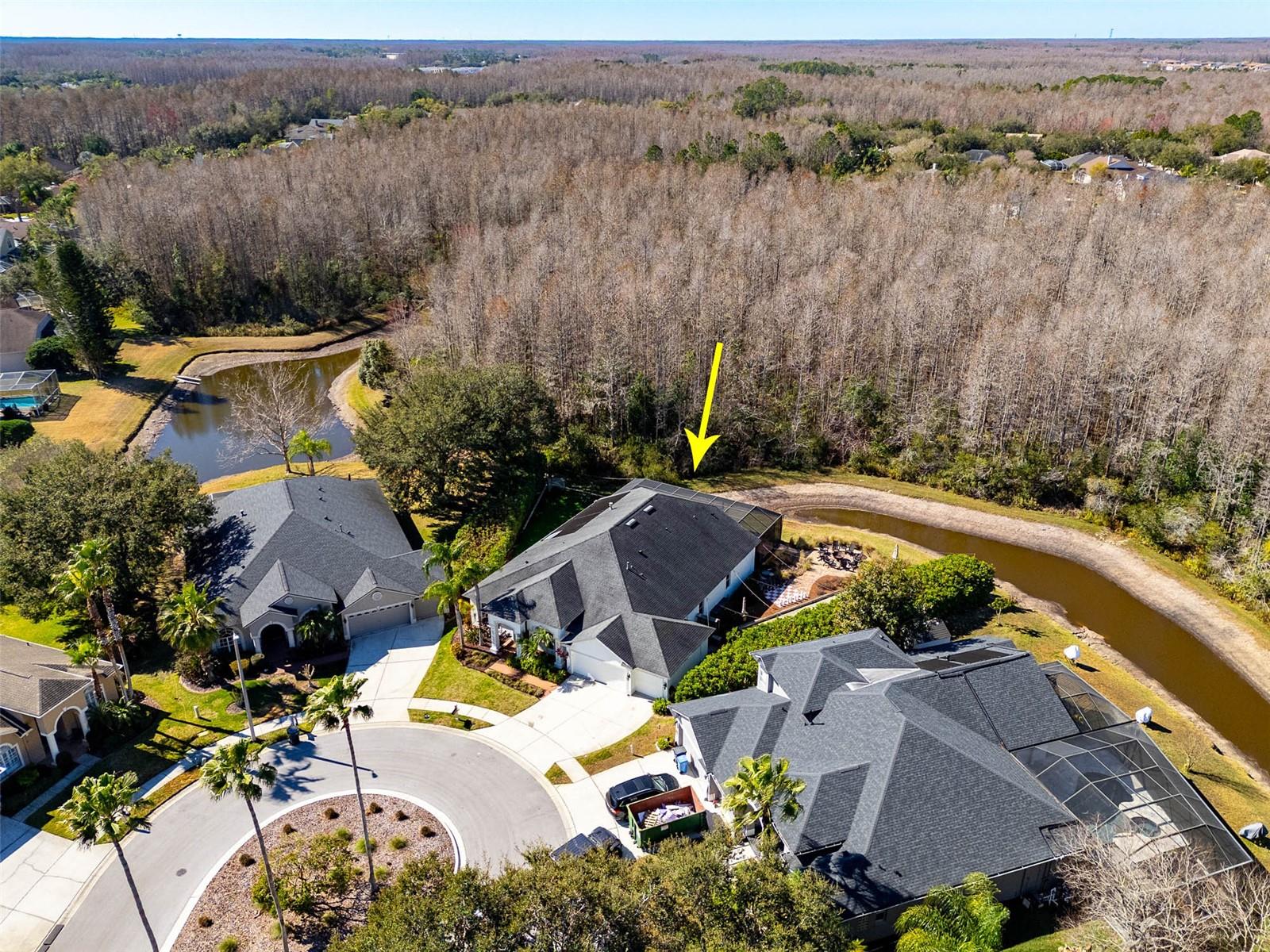 Image 49 of 50 For 19817 Glazing Globe Lane