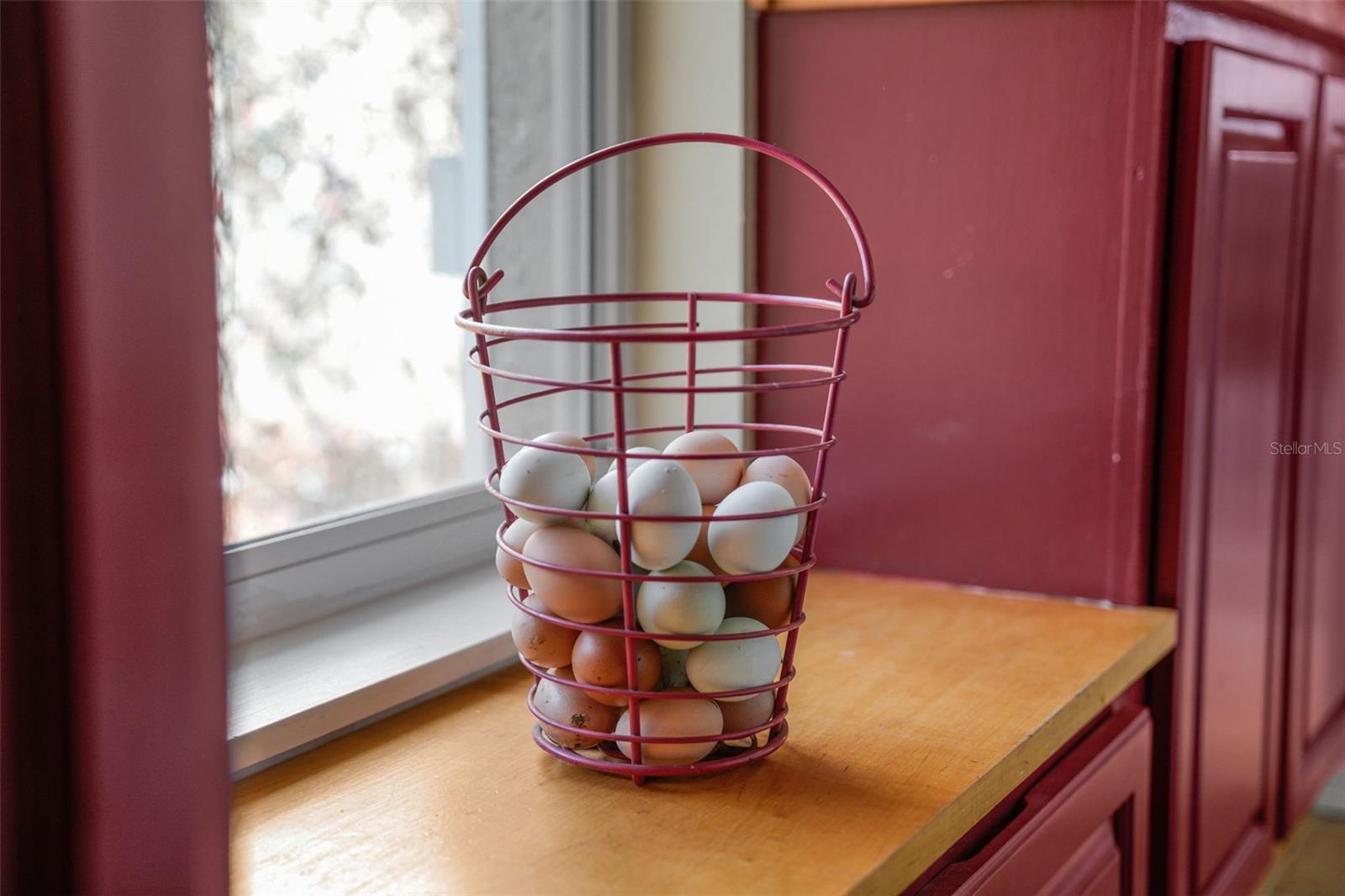 Image 21 of 92 For 808 Old Welcome Road