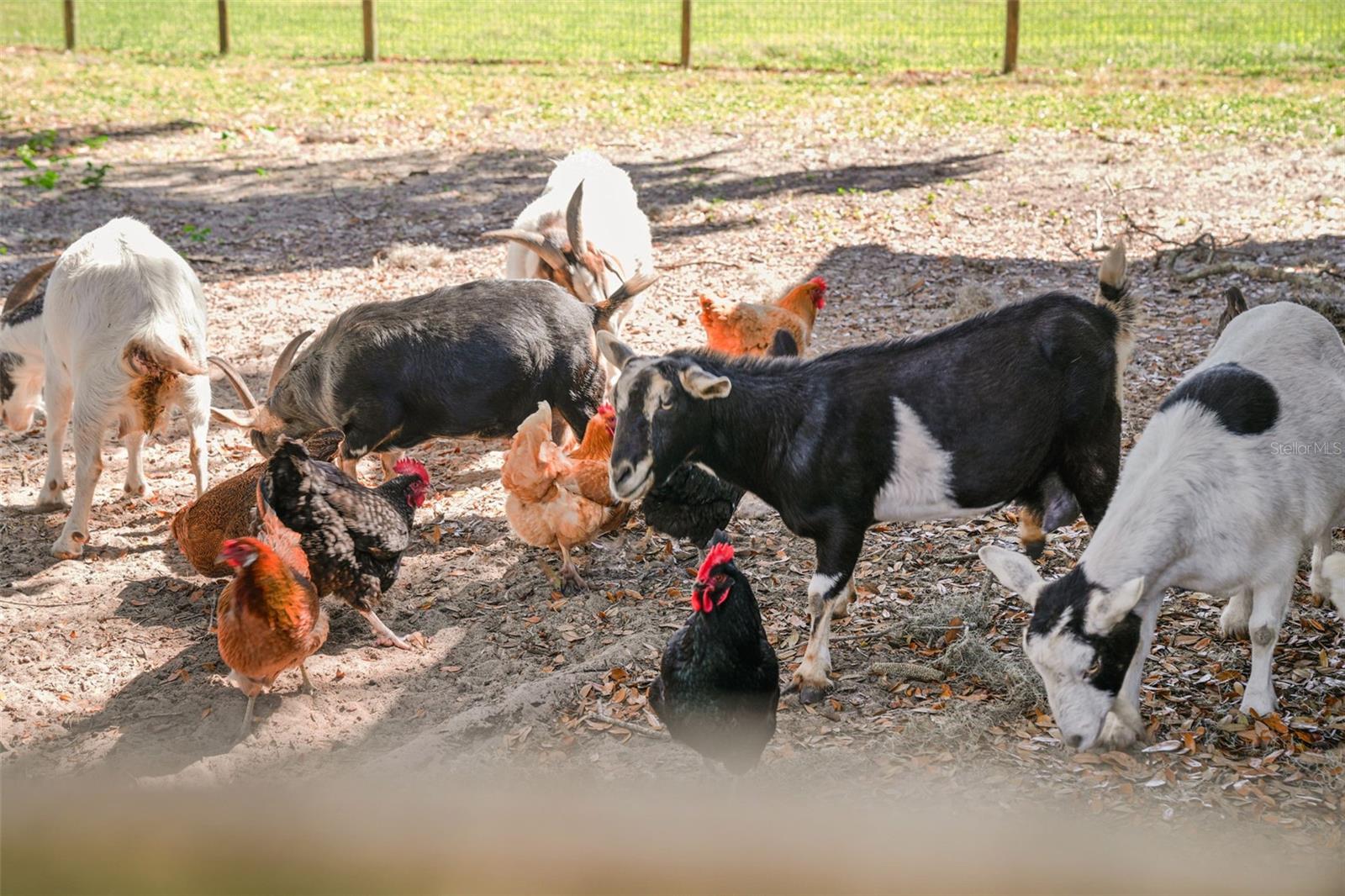 Image 57 of 92 For 808 Old Welcome Road