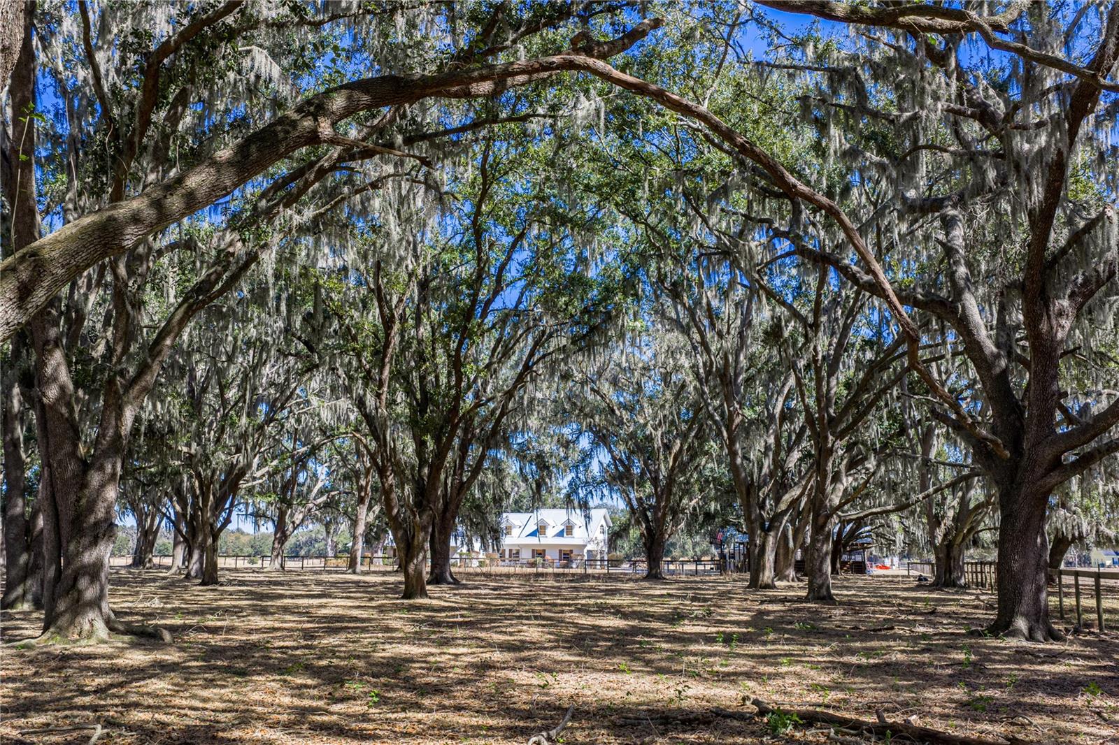 Image 69 of 92 For 808 Old Welcome Road