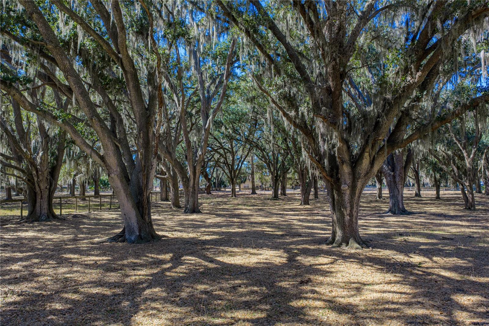 Image 70 of 92 For 808 Old Welcome Road