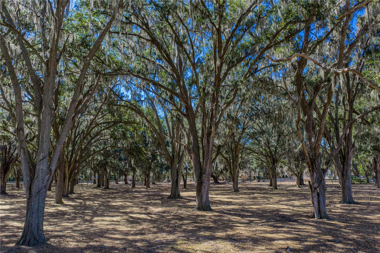 Image 92 of 92 For 808 Old Welcome Road
