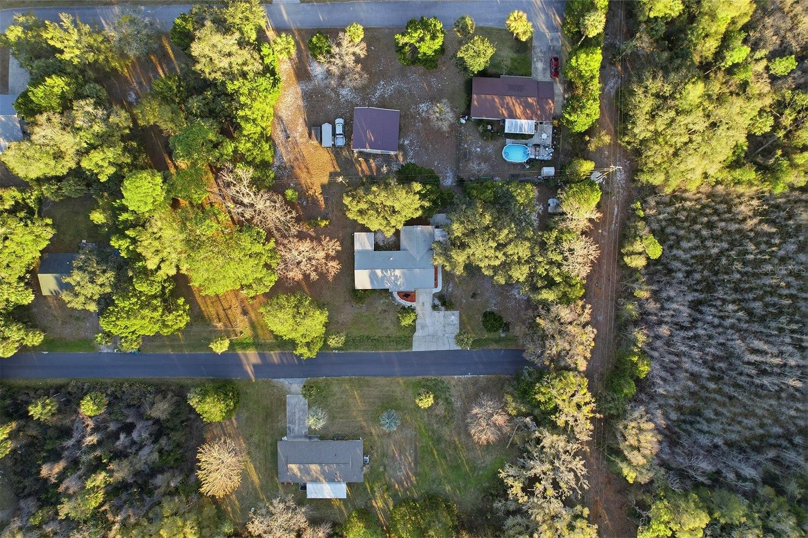 Image 44 of 53 For 1045 Fan Palm Point