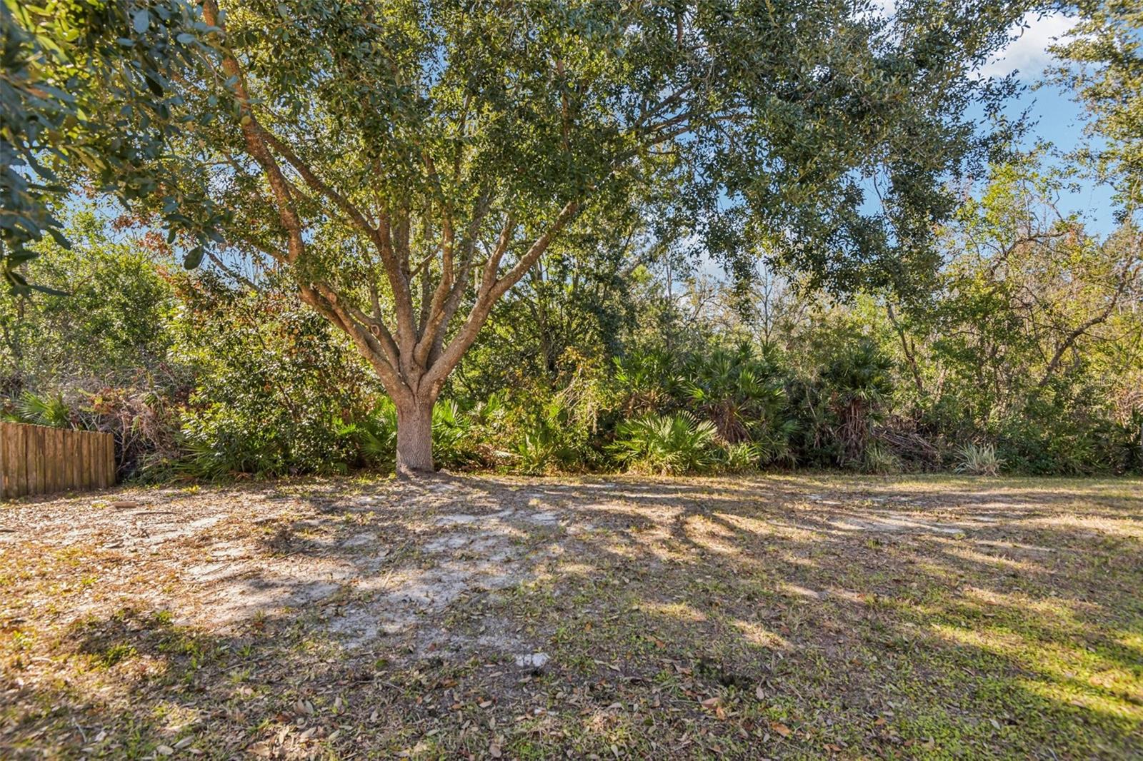 Image 31 of 36 For 5410 Treig Lane