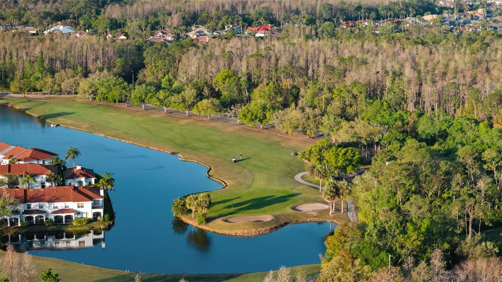 Image 70 of 99 For 9617 Greenpointe Drive