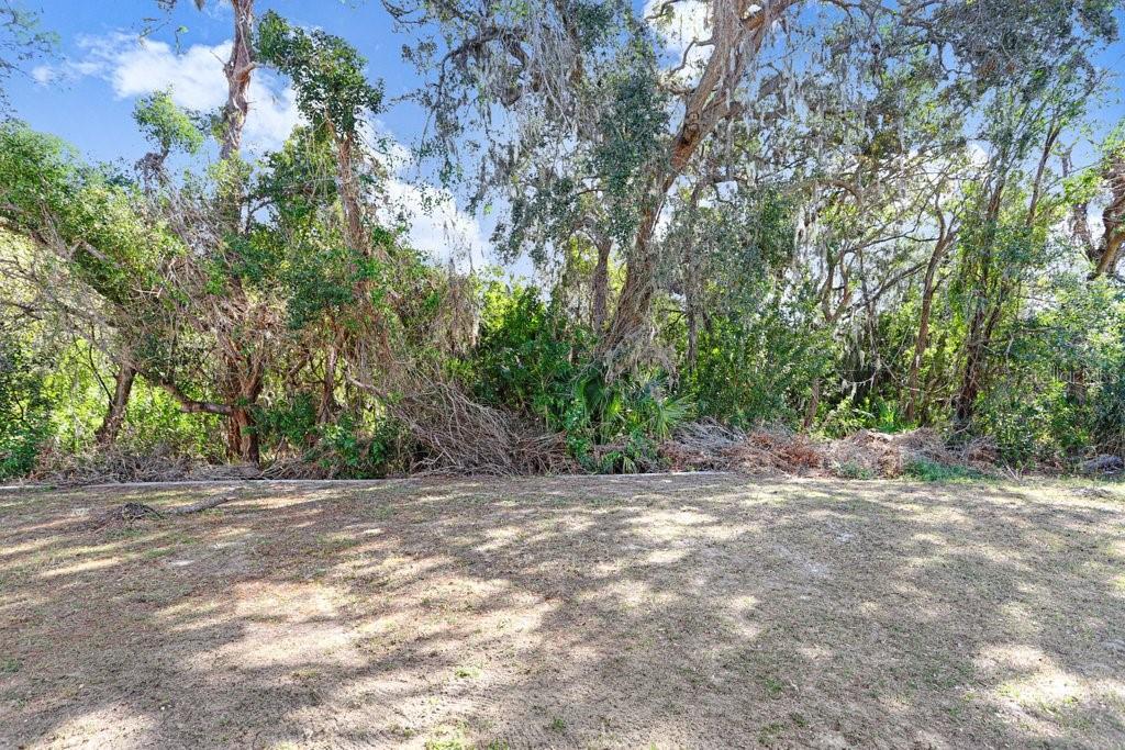 Image 28 of 42 For 10932 Carlton Fields Drive