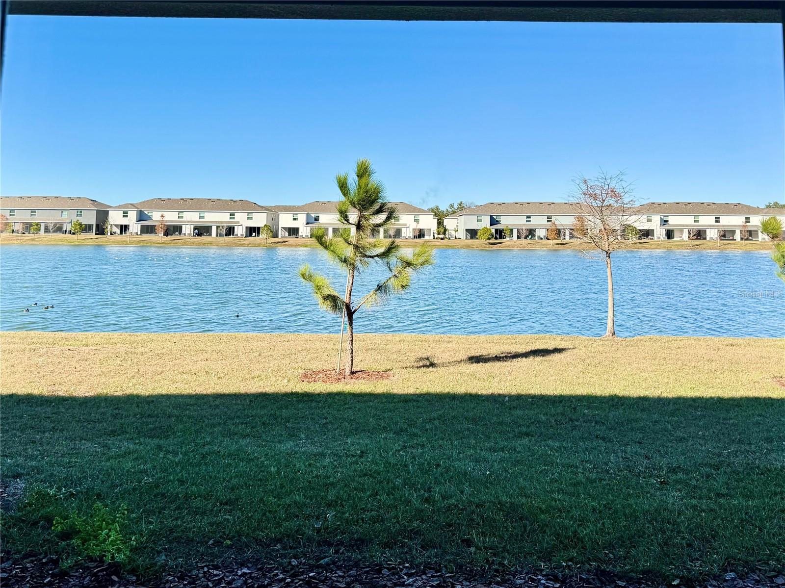 Image 17 of 33 For 445 Mangrove Shade Circle
