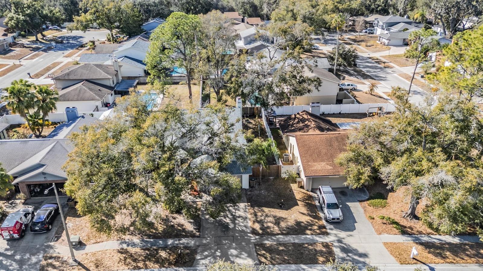 Image 43 of 44 For 12604 Rain Forest Street